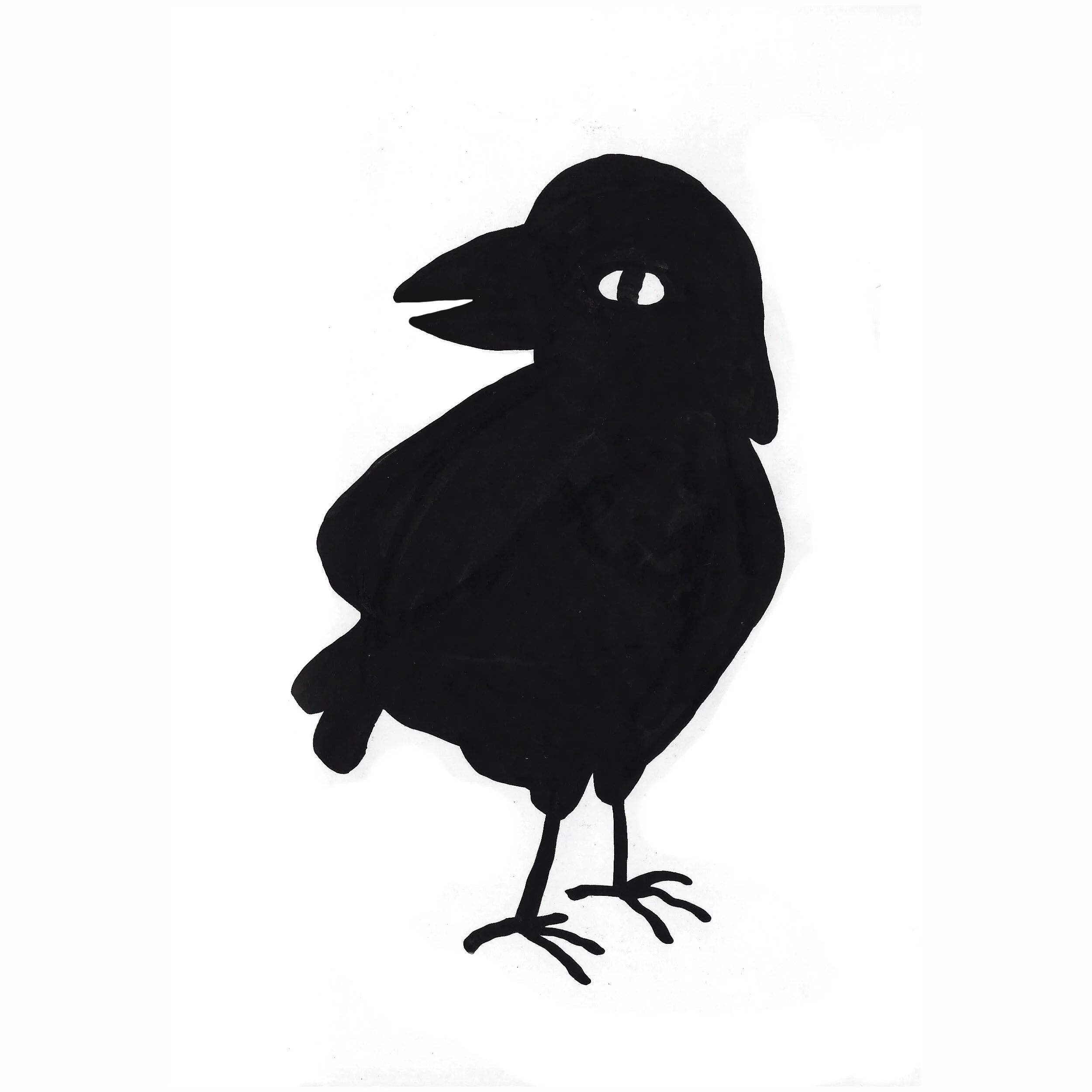crow square.jpg