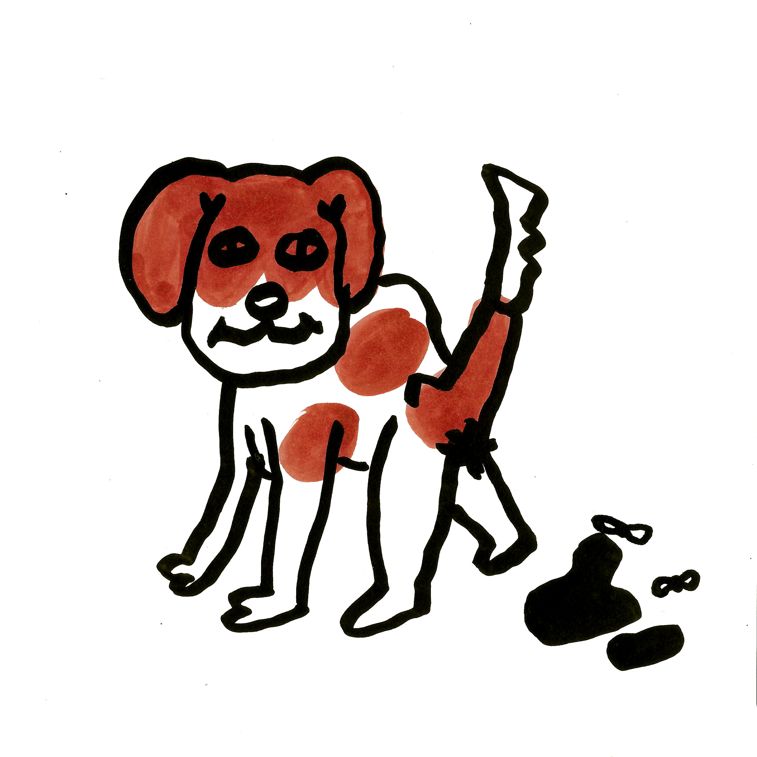 dog pooping square.jpg