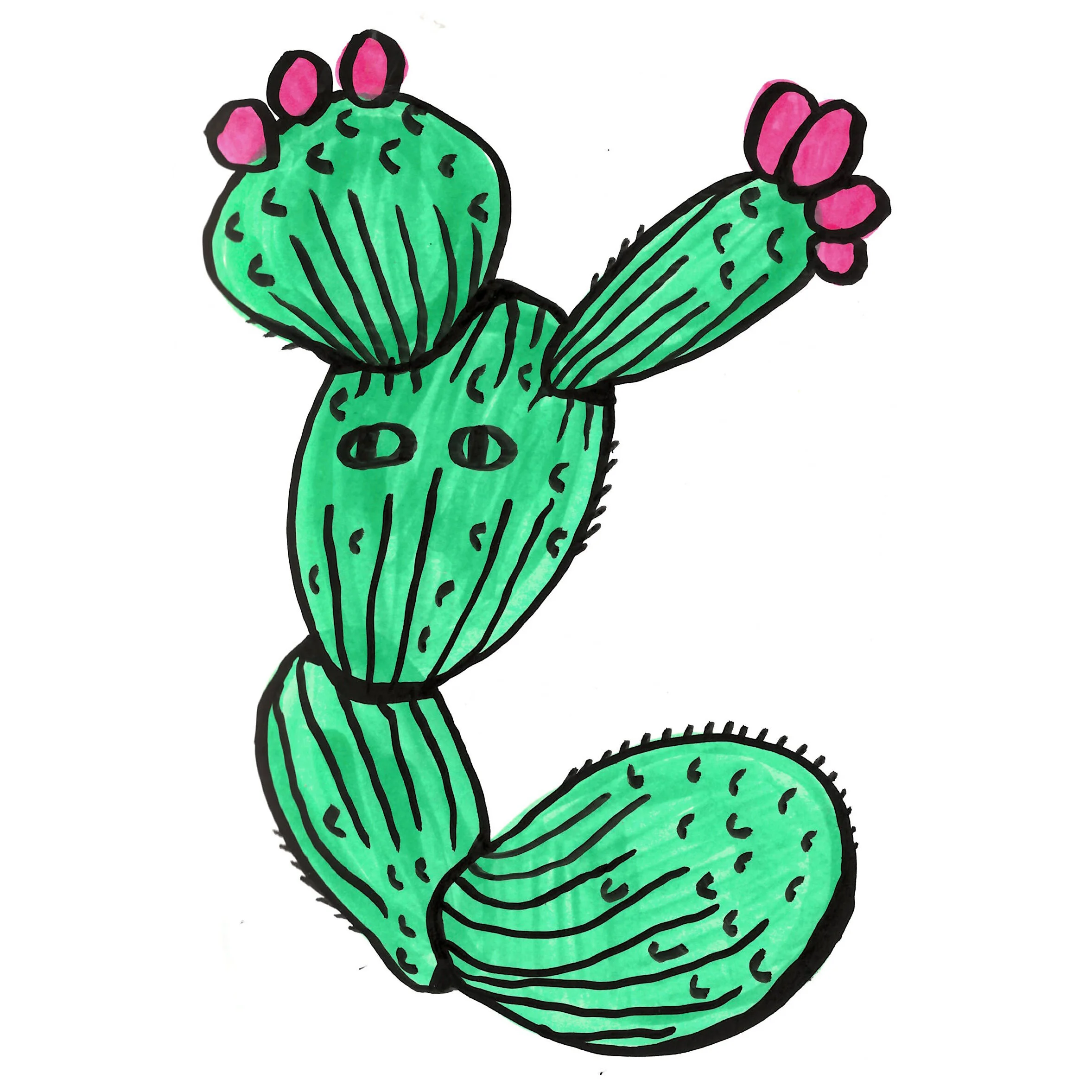 cactus with fruit square.jpg