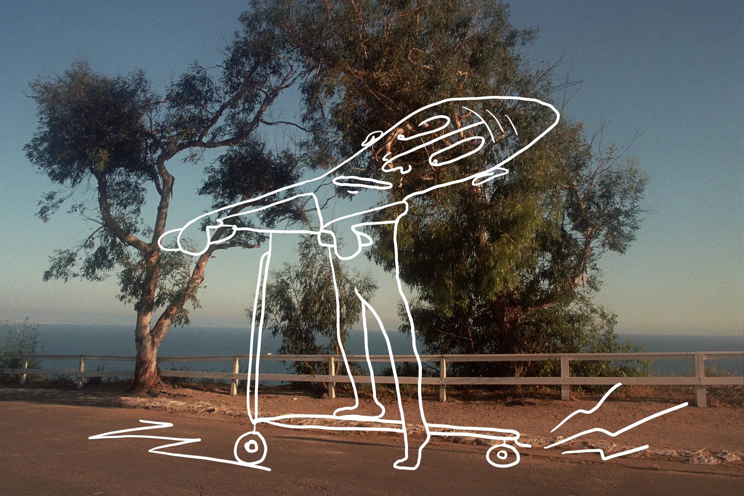 bluff tree with doodle.jpg