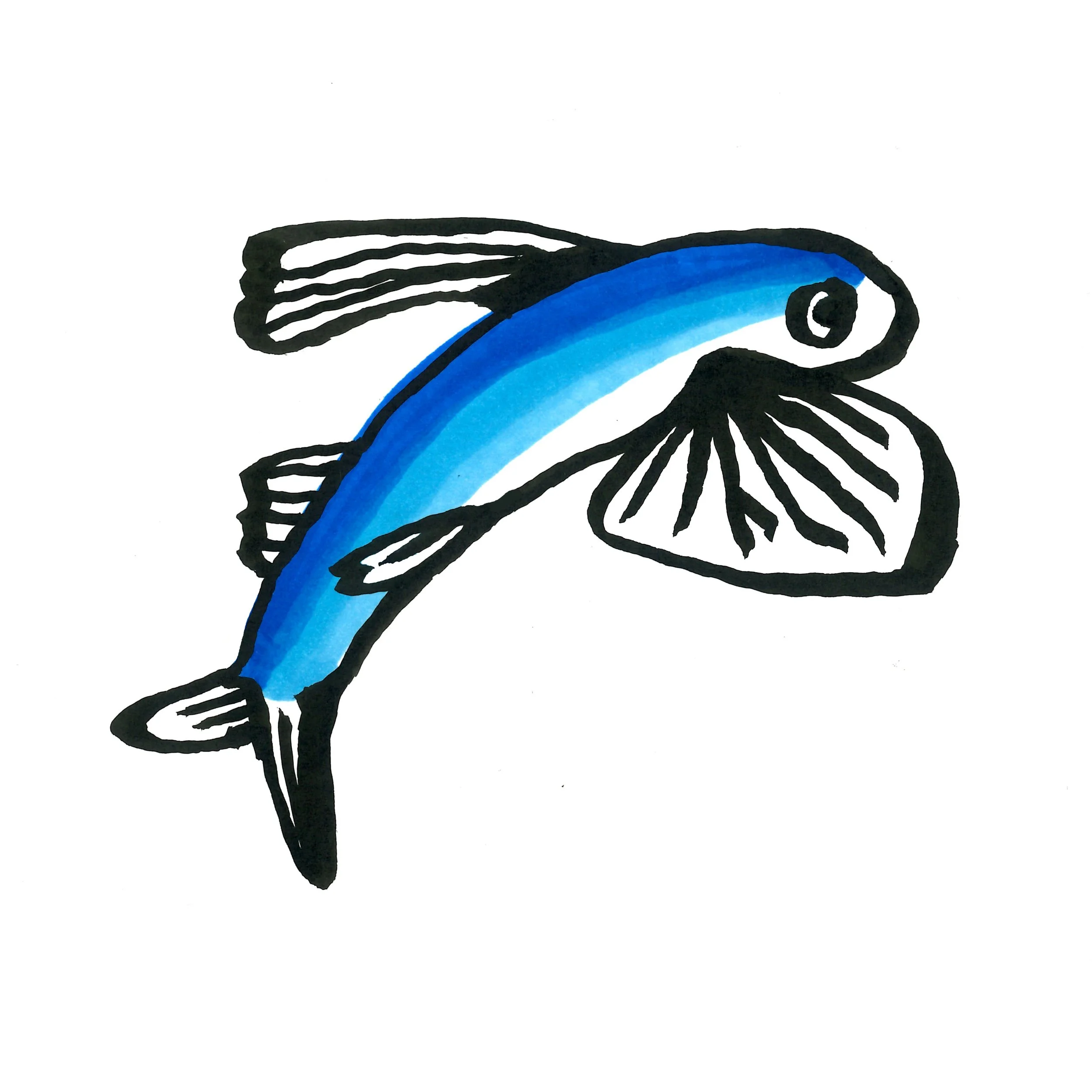 flyingfish.jpg