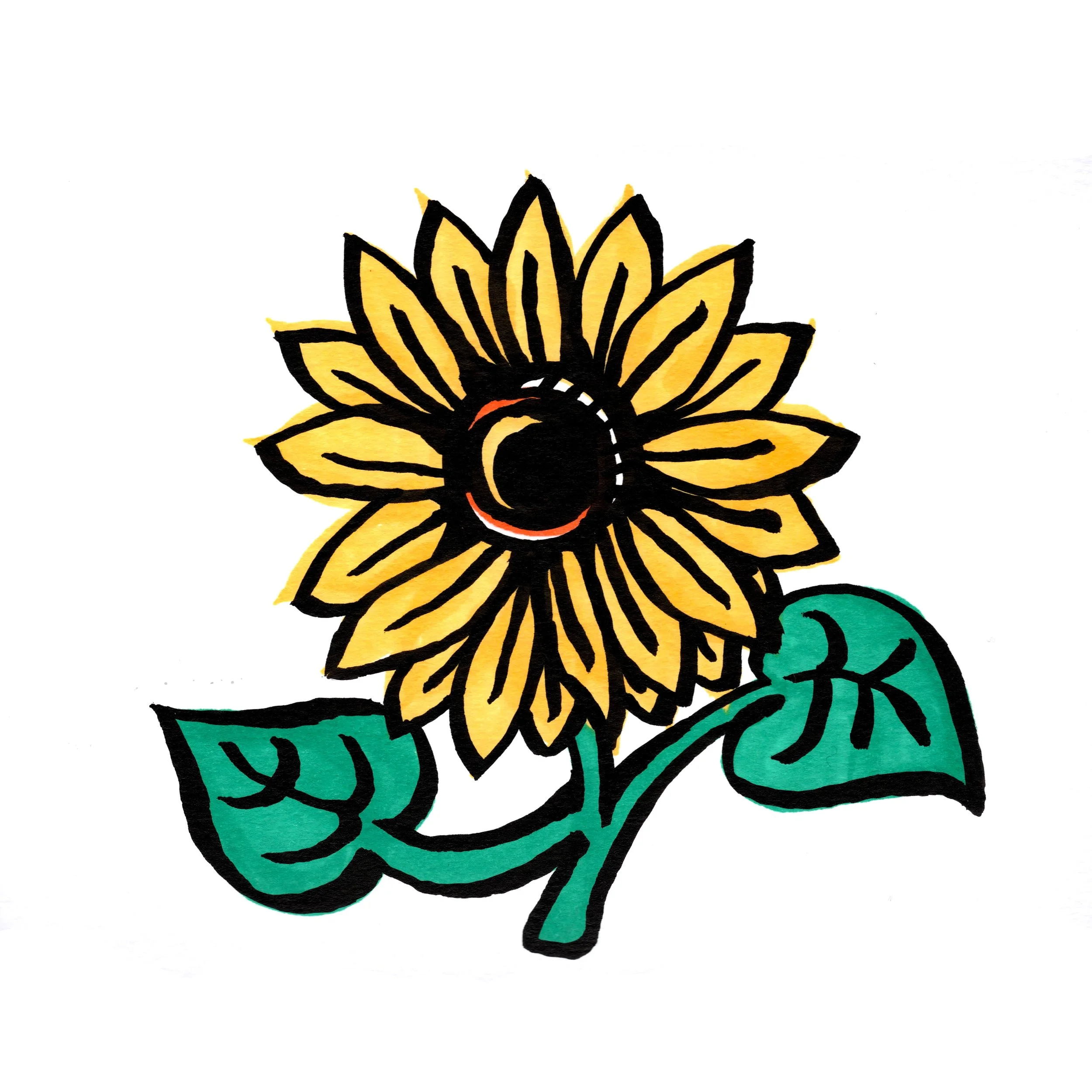sunflower.jpg