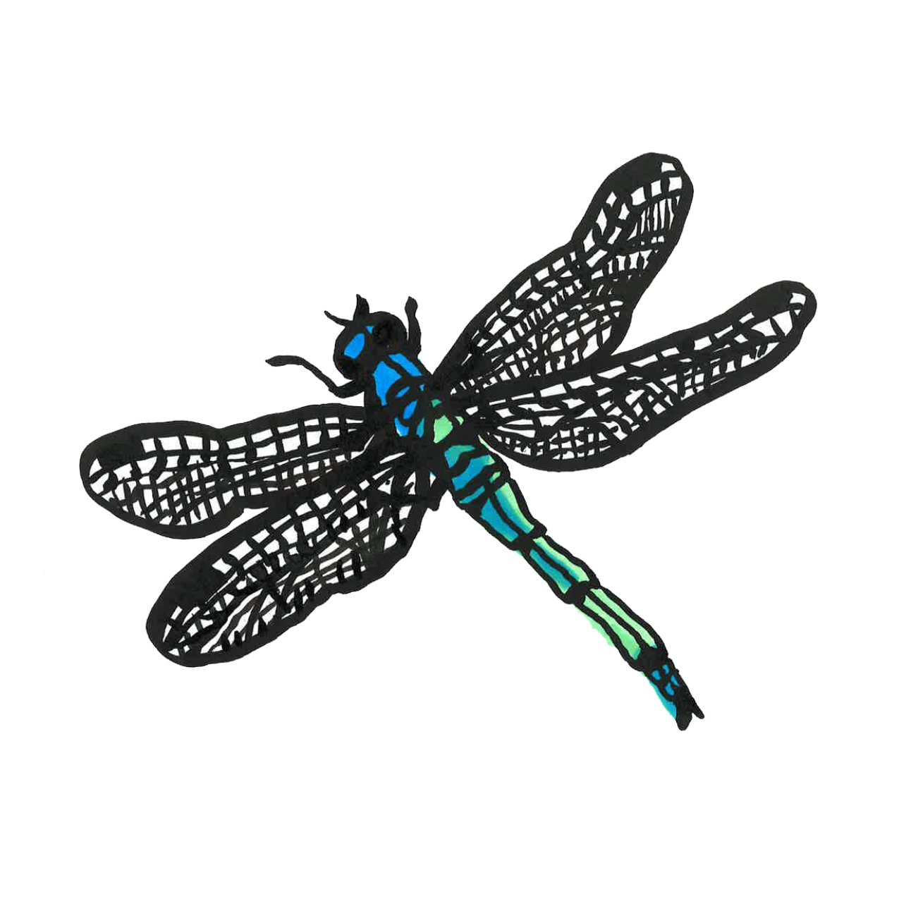 dragonfly square.jpg