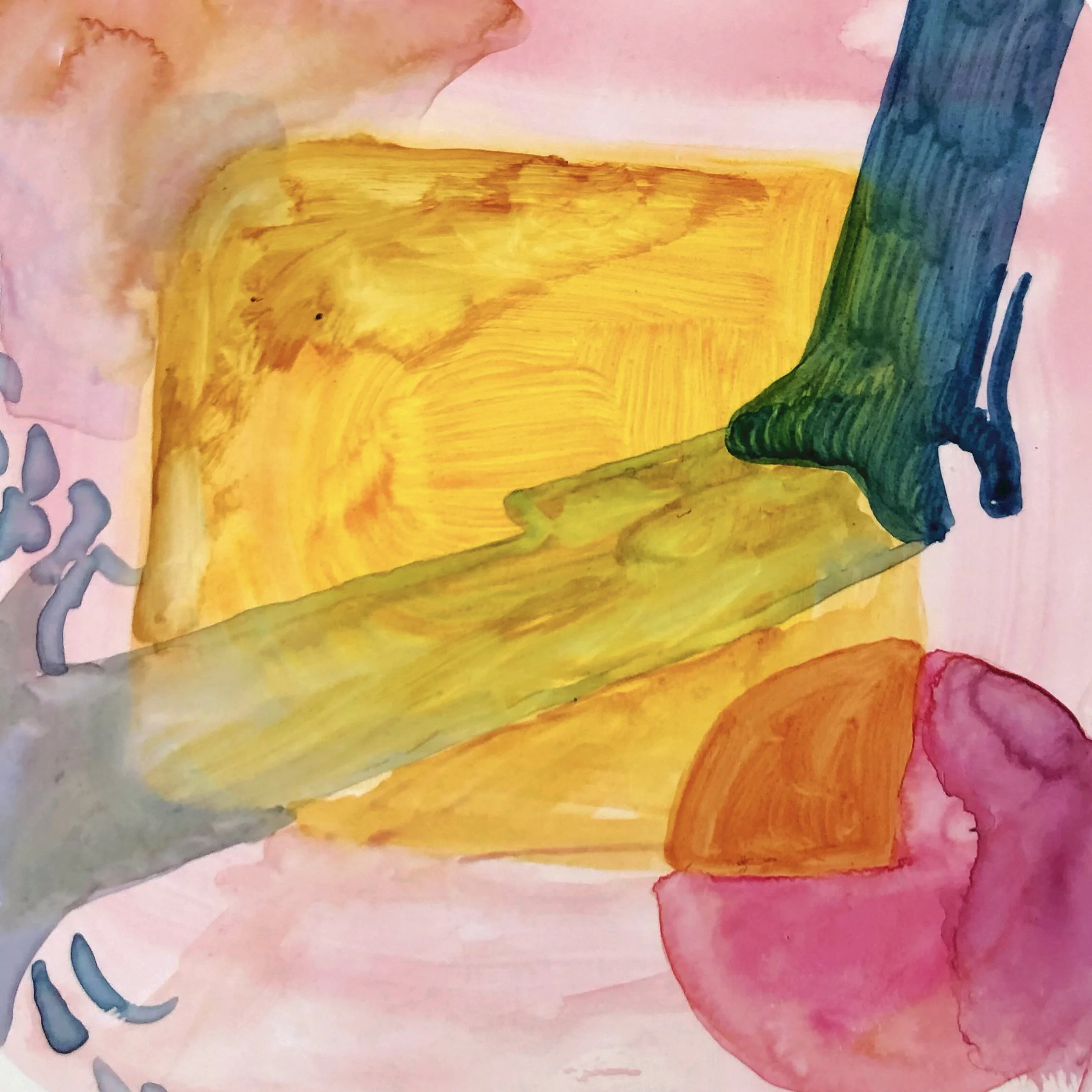 tree shadow iphone square tight crop.jpg