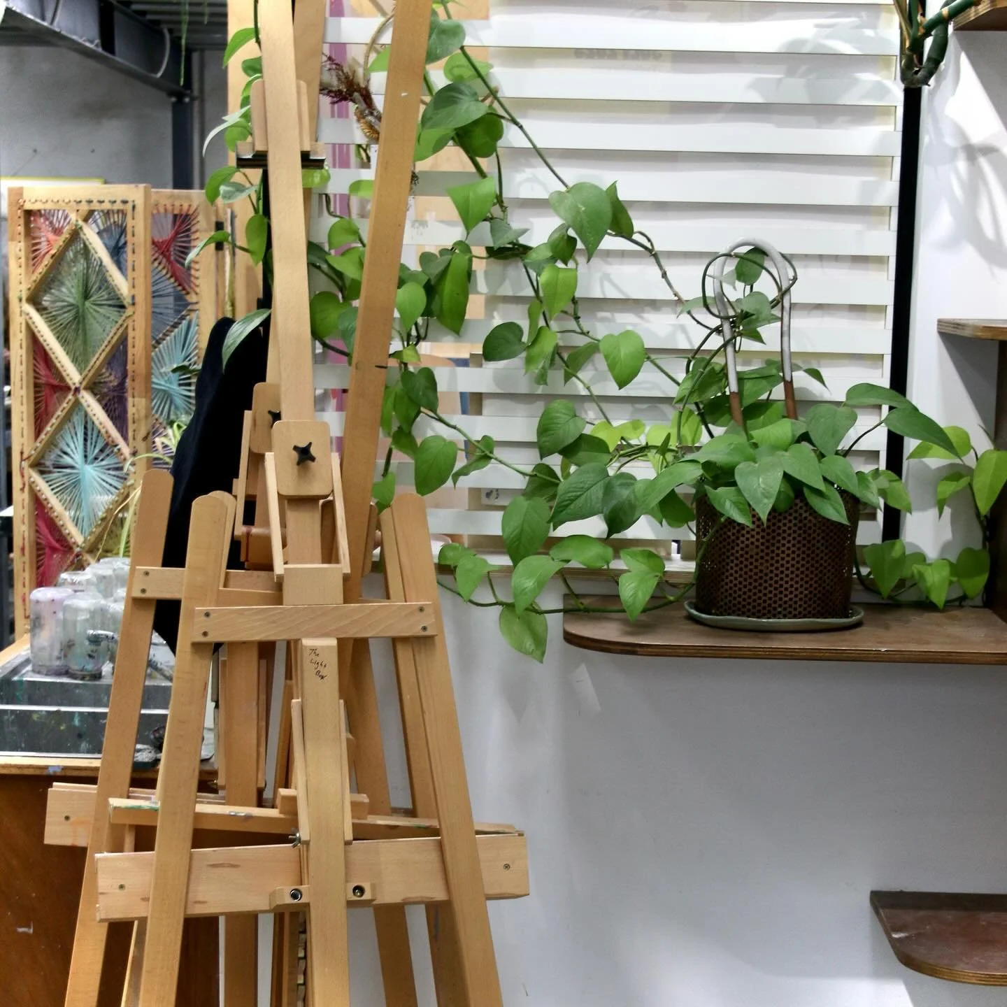Studio vibes. Been a bit of a buzz about the place in lead up to arts trail. Keep calm and water plants 🪴