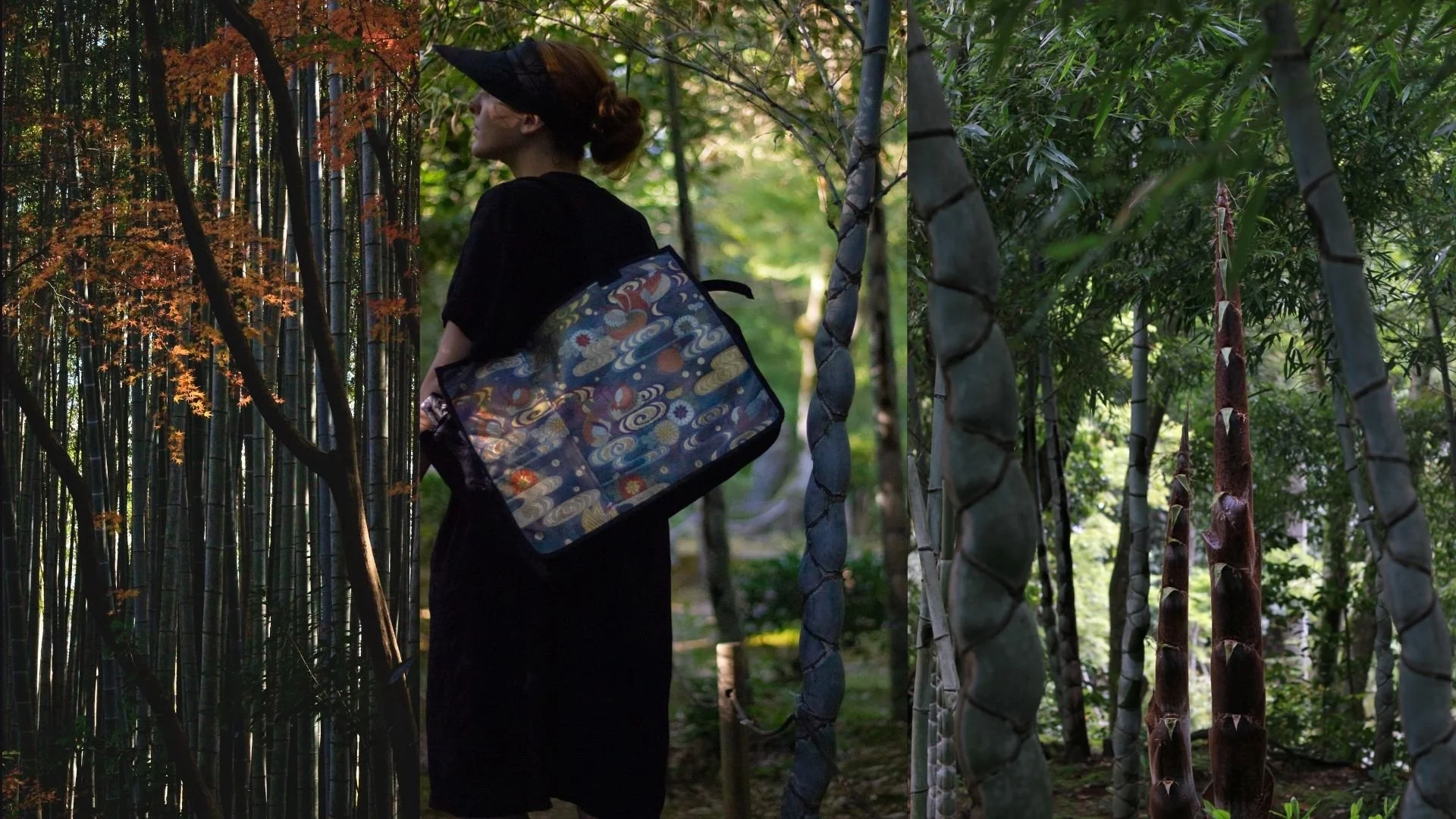 Bamboo in Kyoto: Forests, Culture, and Textile Inspiration