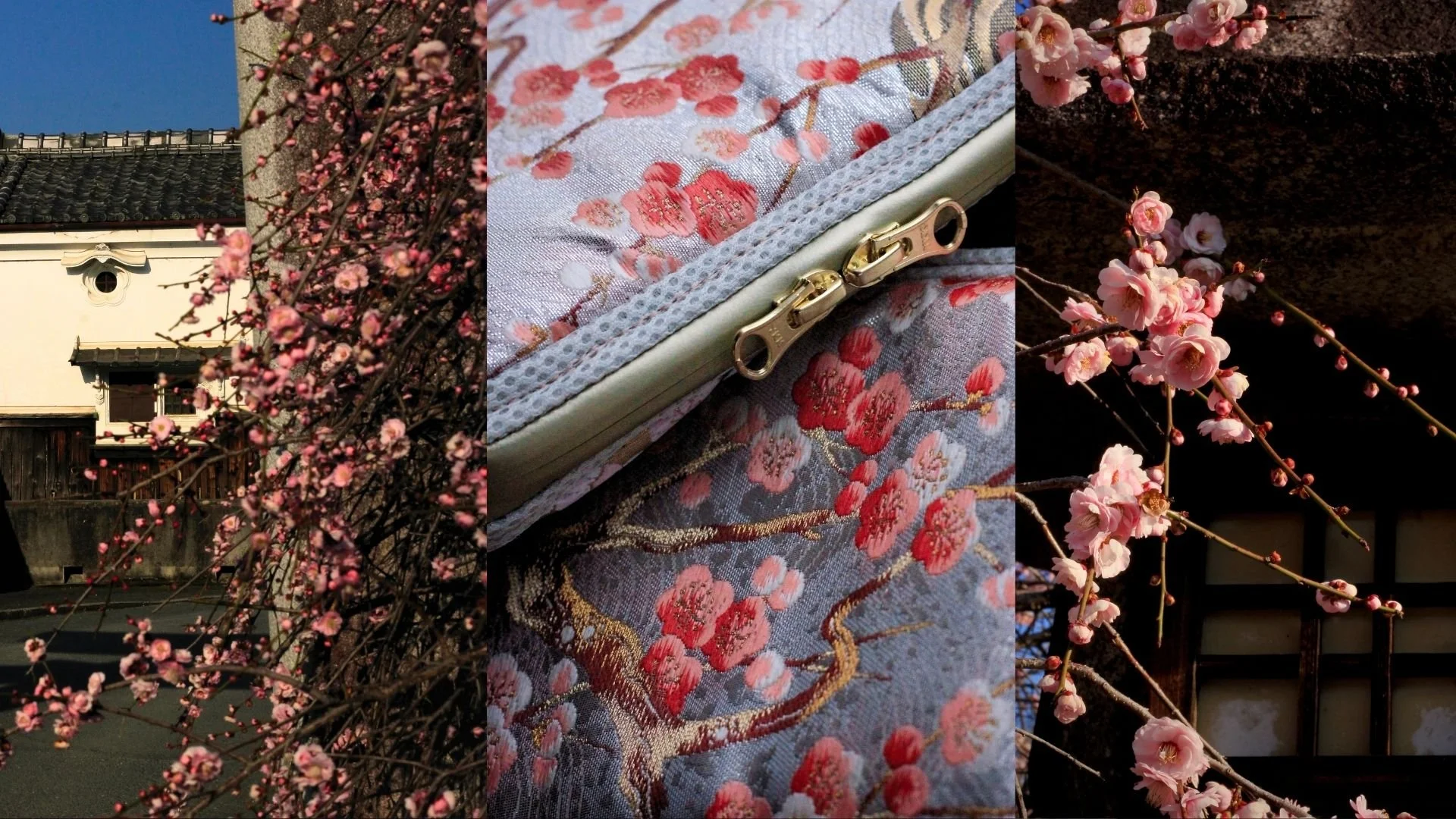 Plum Blossoms, Inside and Out