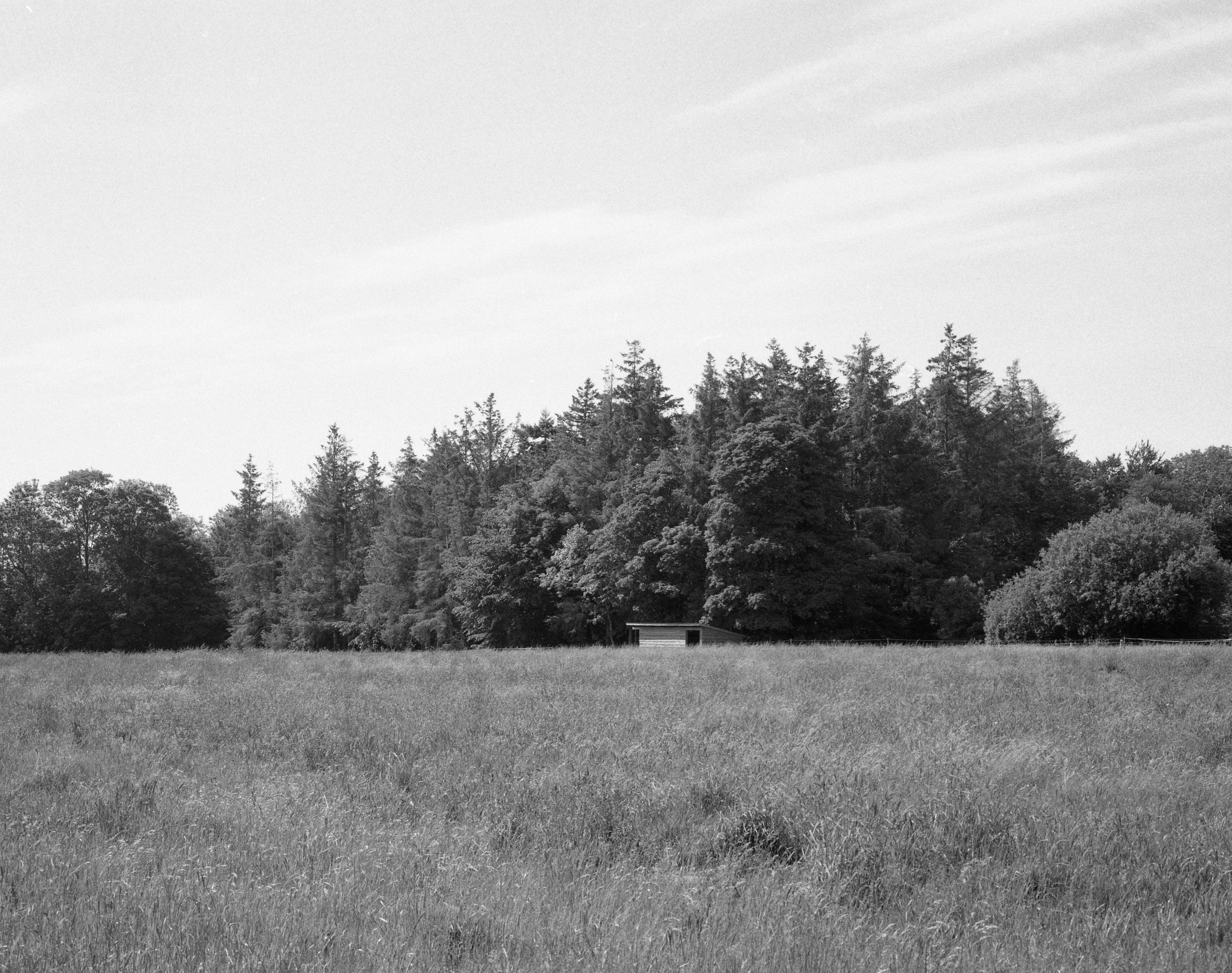 Fåreshelter Elsegårde