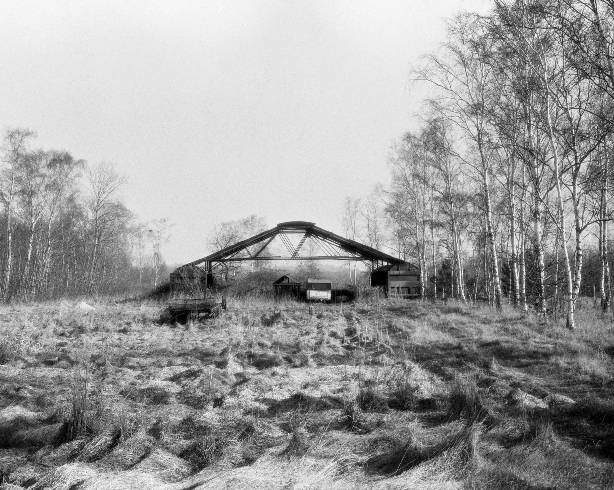 Ligeværd