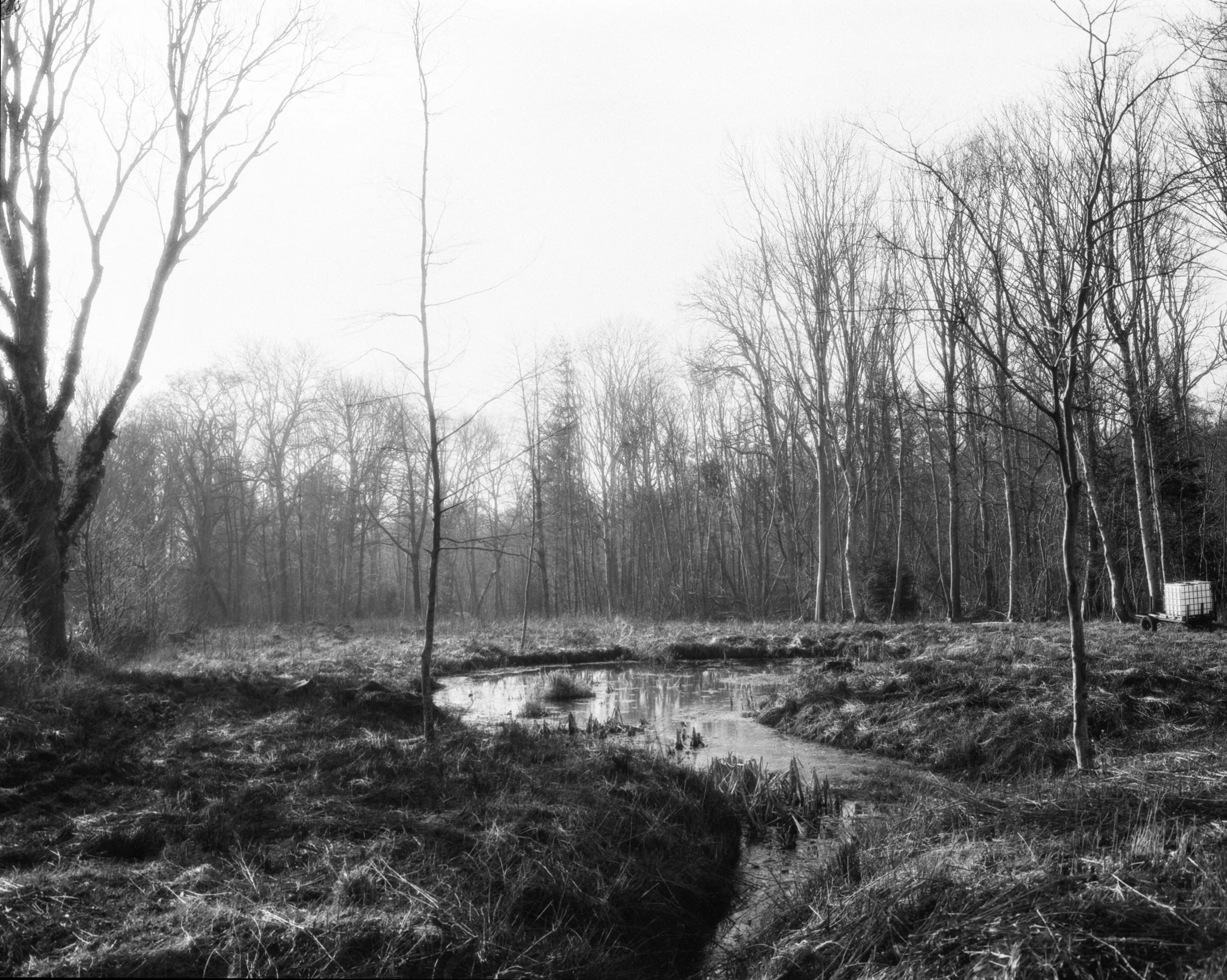 Elsegårde_vandhul