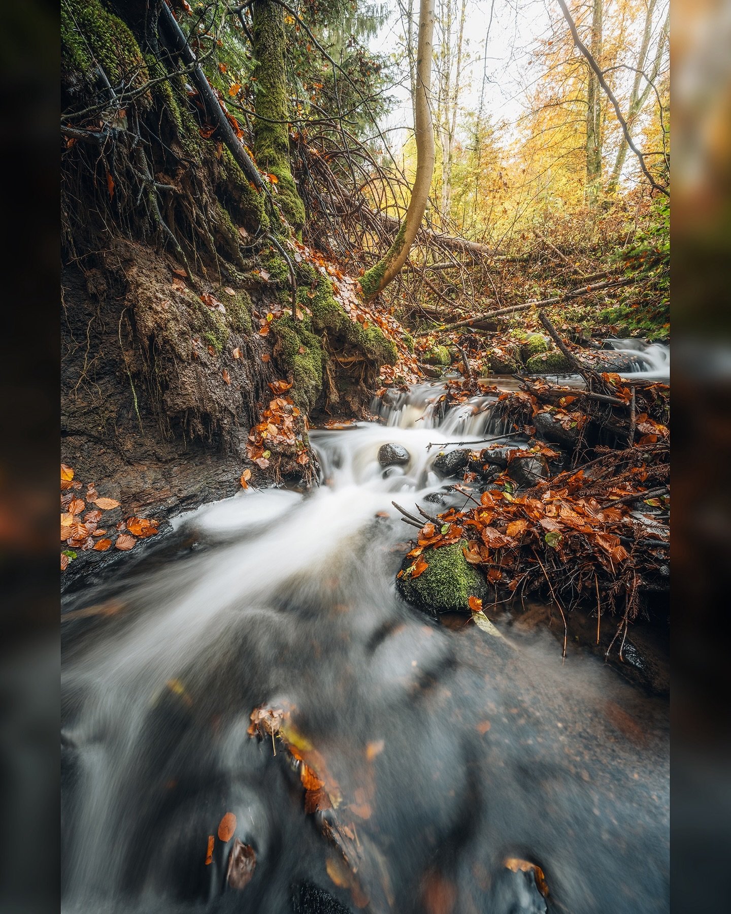 Efter&aring;r ved Hulb&aelig;kken 🍂📷

Jeg elsker at fotografere de sm&aring; vandl&oslash;b her i S&oslash;h&oslash;jlandet. Udover de flotte motiver og mange muligheder, s&aring; f&aring;r man ogs&aring; en s&aelig;rlig naturoplevelse ud af det. L