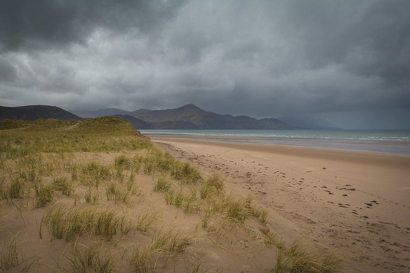 Sand Dunes at Rossbeigh Beach (Ring of Kerry)