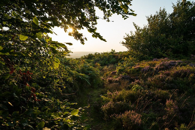 hartcliff-hill-penistone-sunset-yorkshire-photograph-nickscape.jpg