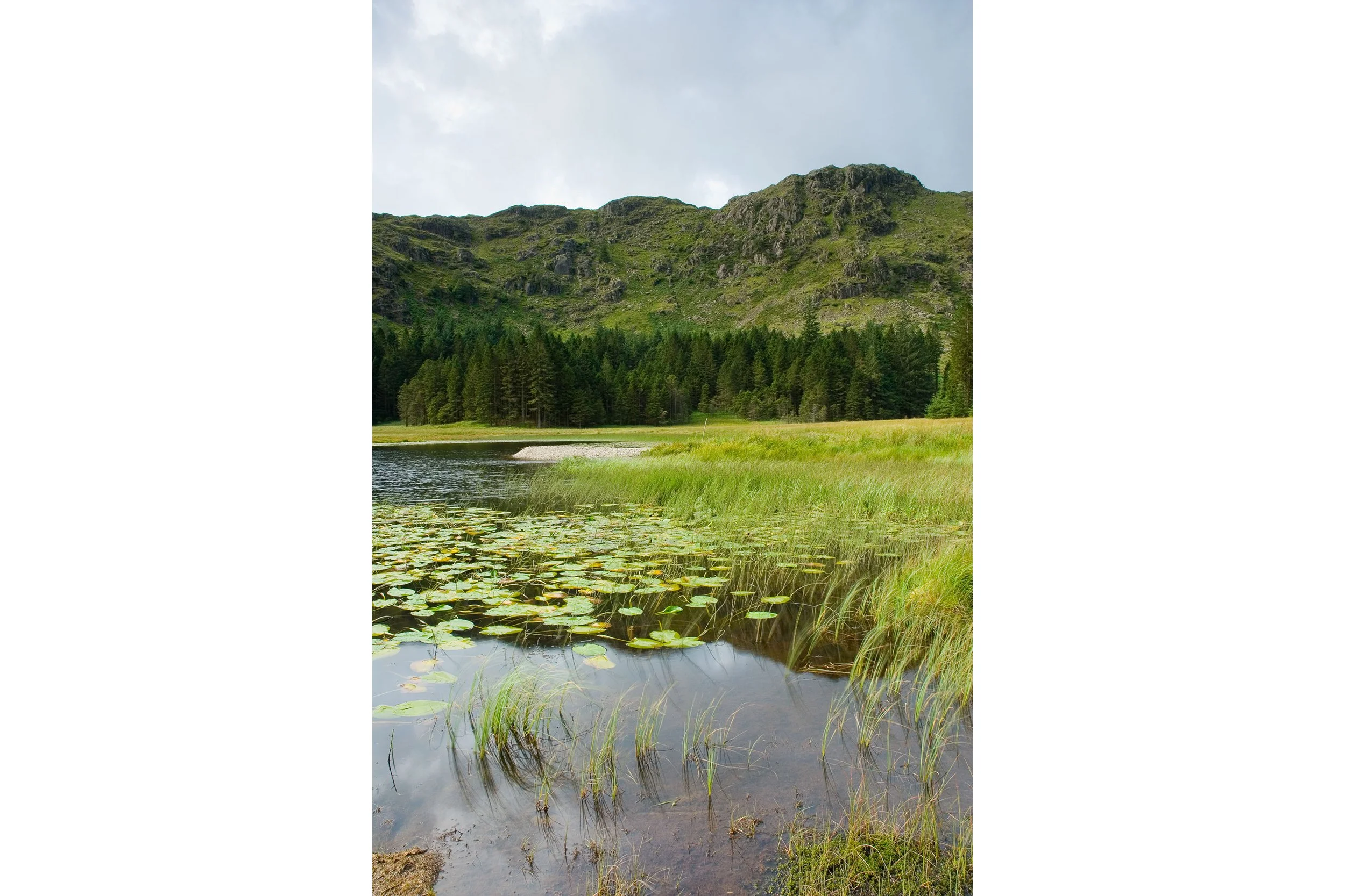 Harrop Tarn and Tarn Crags - Thirlmere