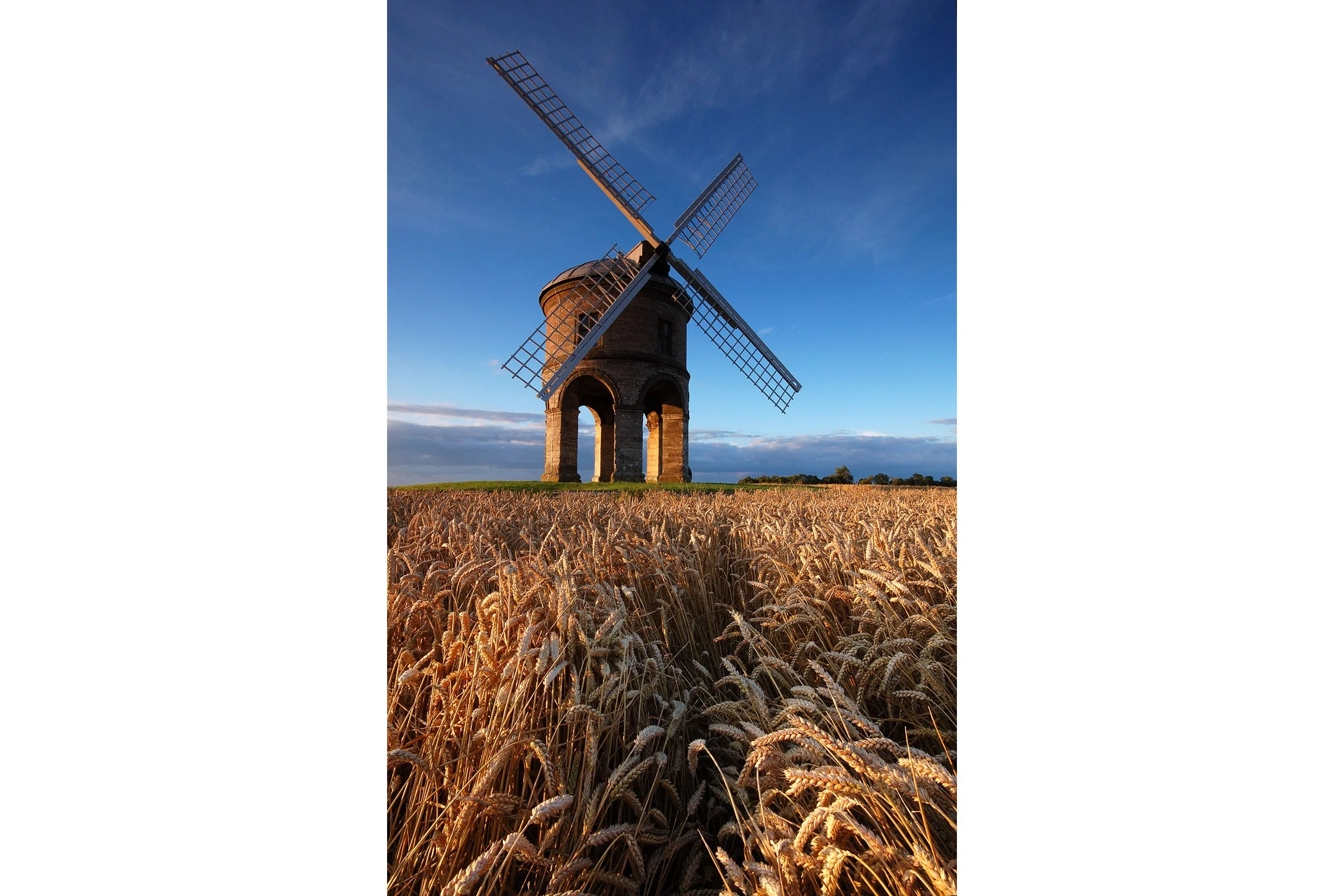 Chesterton Windmill and Corn Field - Warwickshire