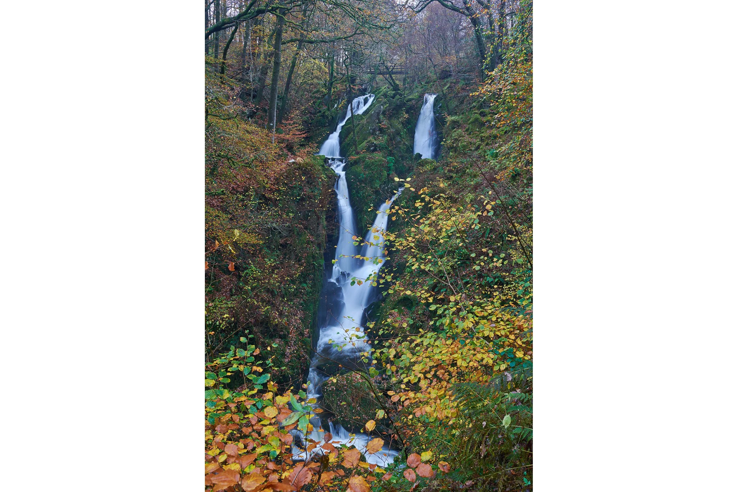 Stock Ghyll Waterfall - Lake District