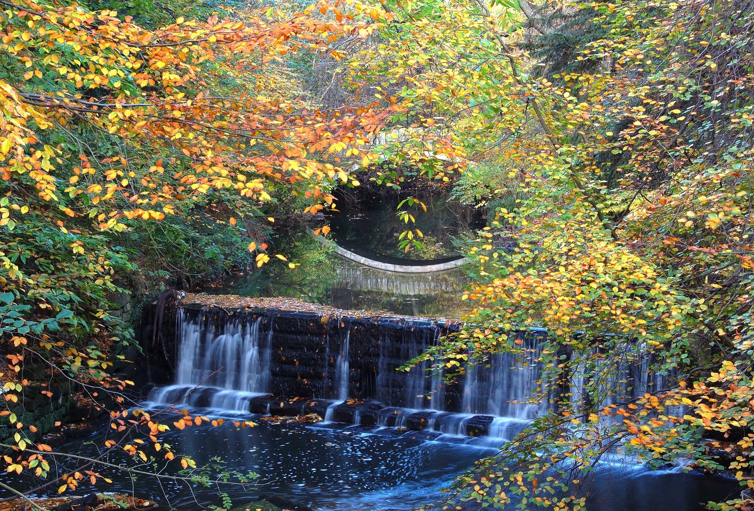jesmond-dene-falls-newcastle.JPG
