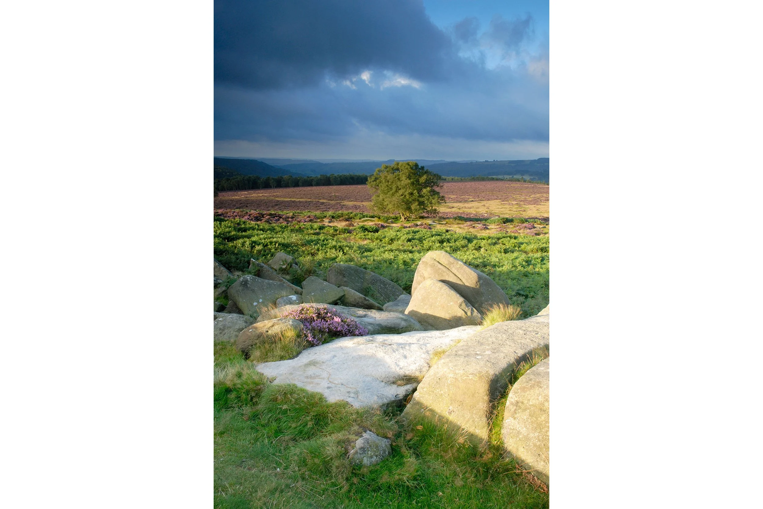 Owler Tor and Lawrence Field