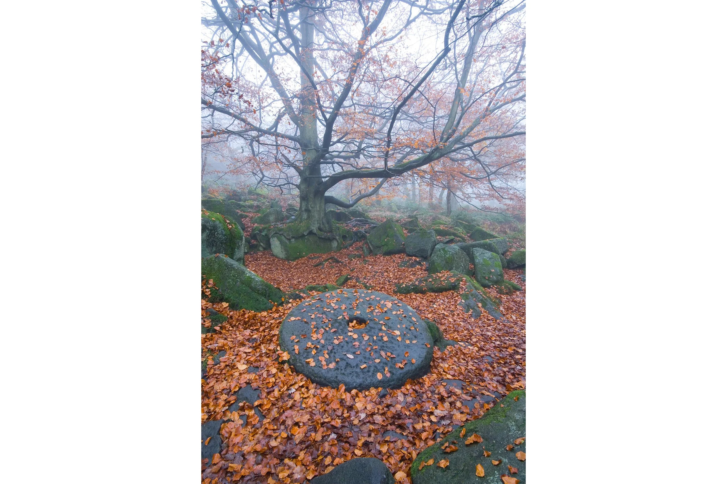Millstone at Padley Gorge