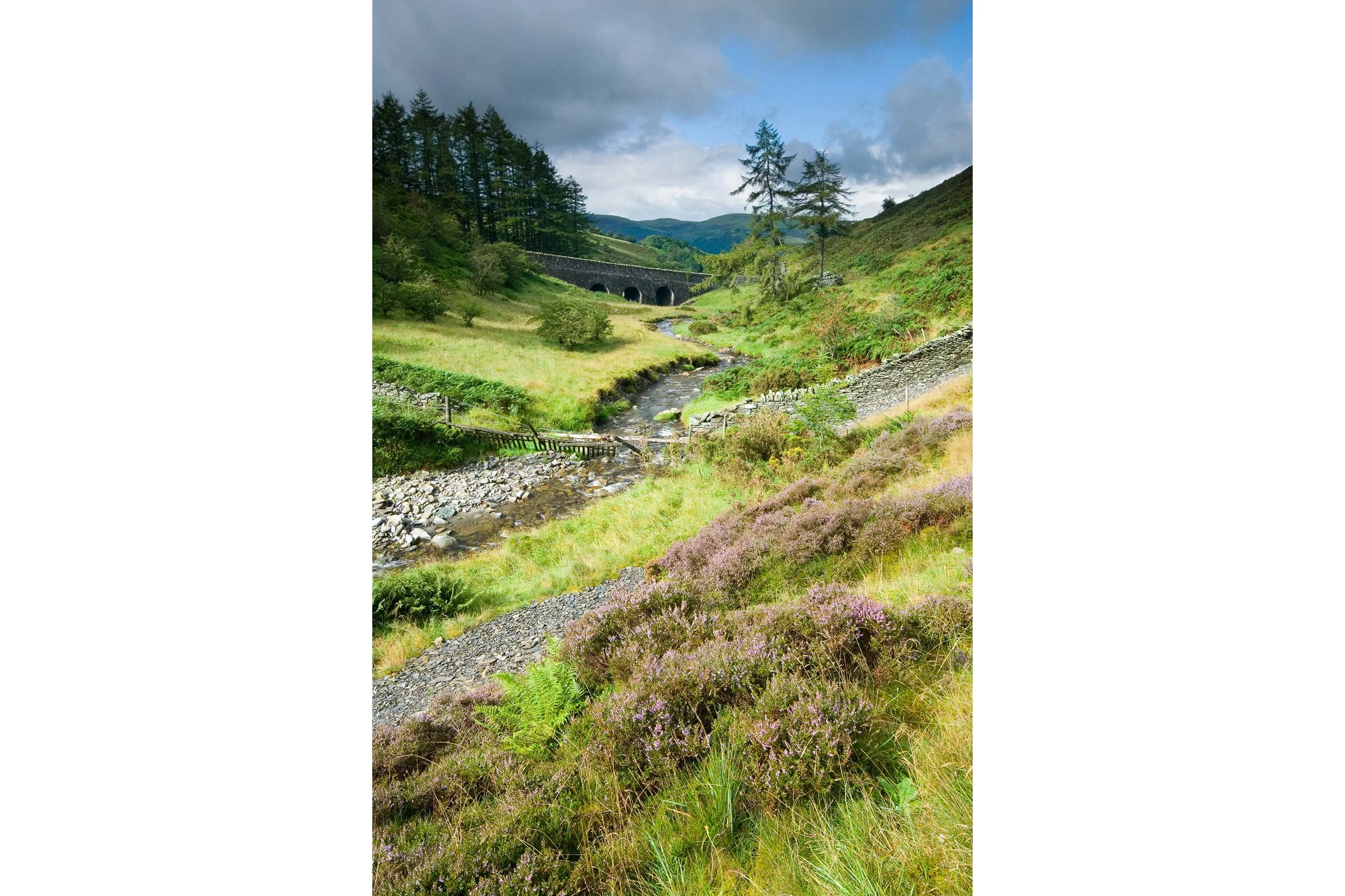 Scawgill Bridge - Whinlatter Forest