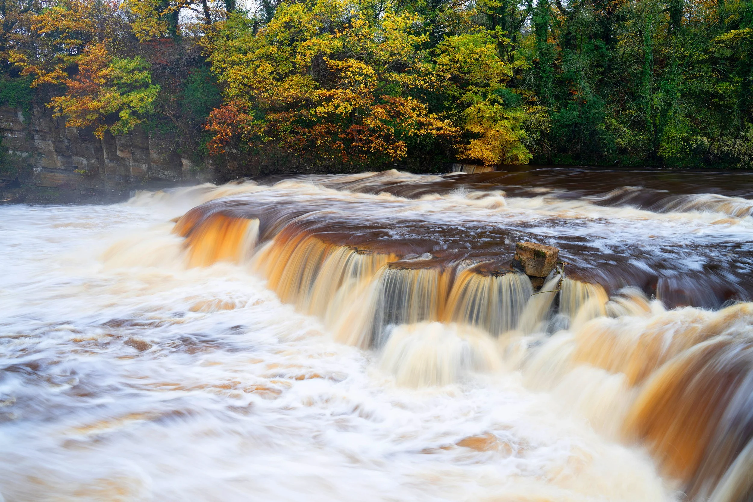 River Swale in Spate - Richmond Falls - Yorkshire Autumn Waterfall