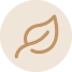 a close-up of a brown, circular object that appears to be a biscuit or cookie