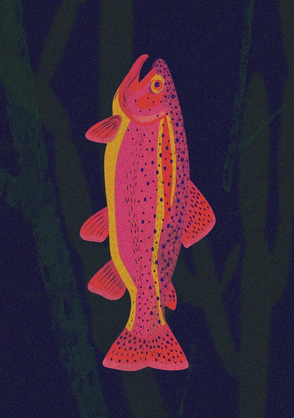 The Fish Disco: When Infrastructure Dances