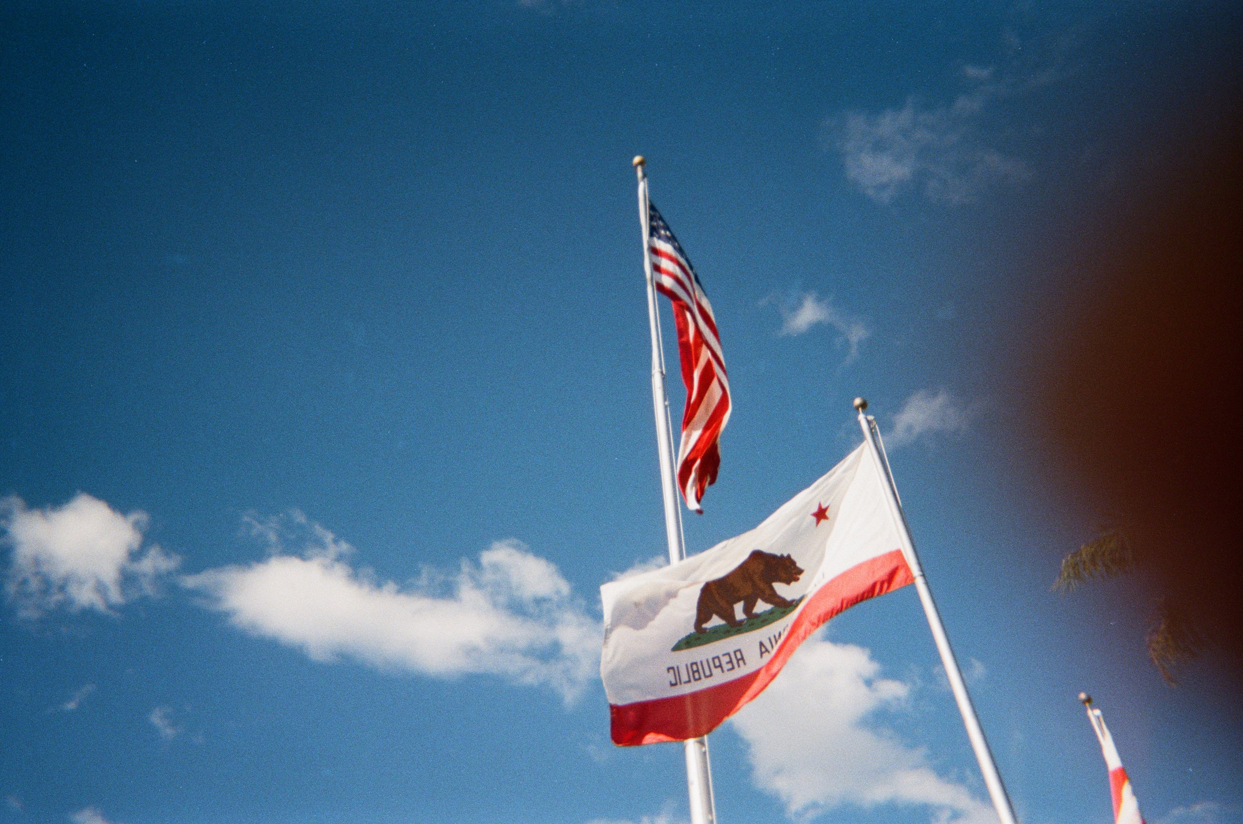 When Buildings Survive but Systems Fail