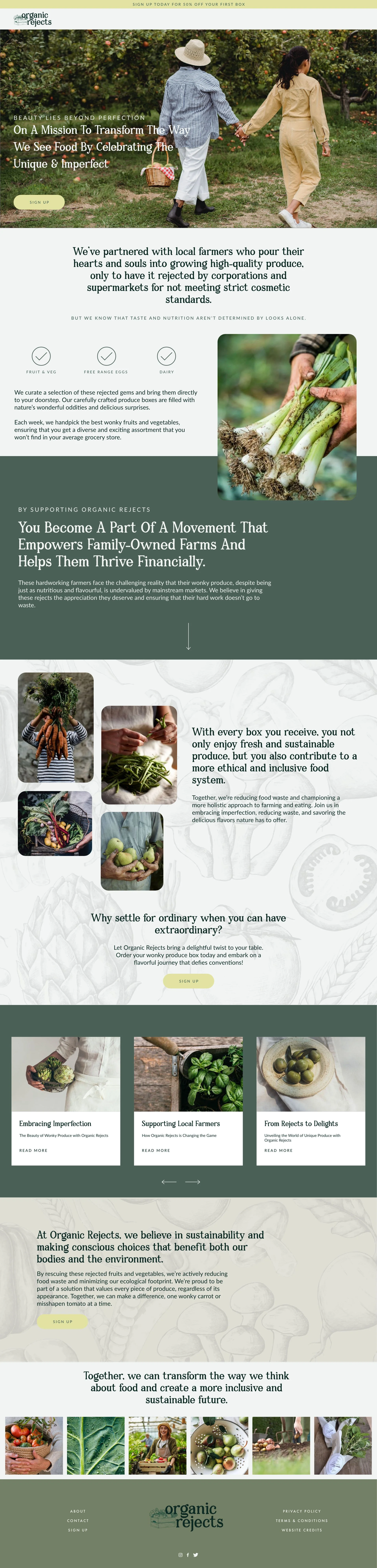 Expert Squarespace Website Design by The Square Agency