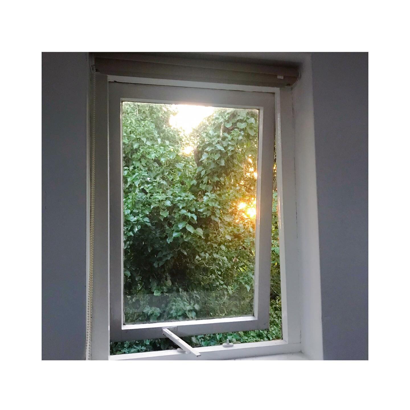 ☀️🌳&hearts;️