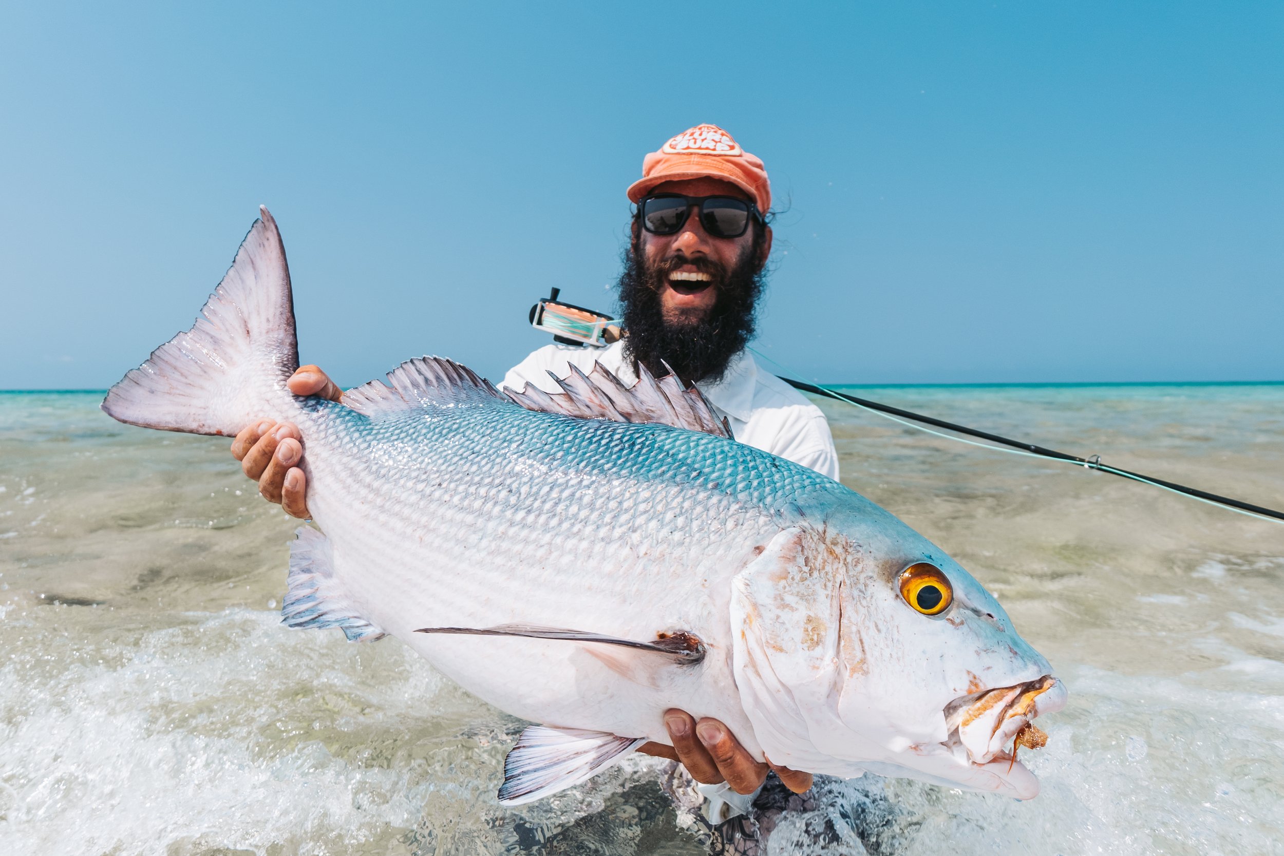 Fly Fishing the Island of Socotra — Wild Sea Expedition
