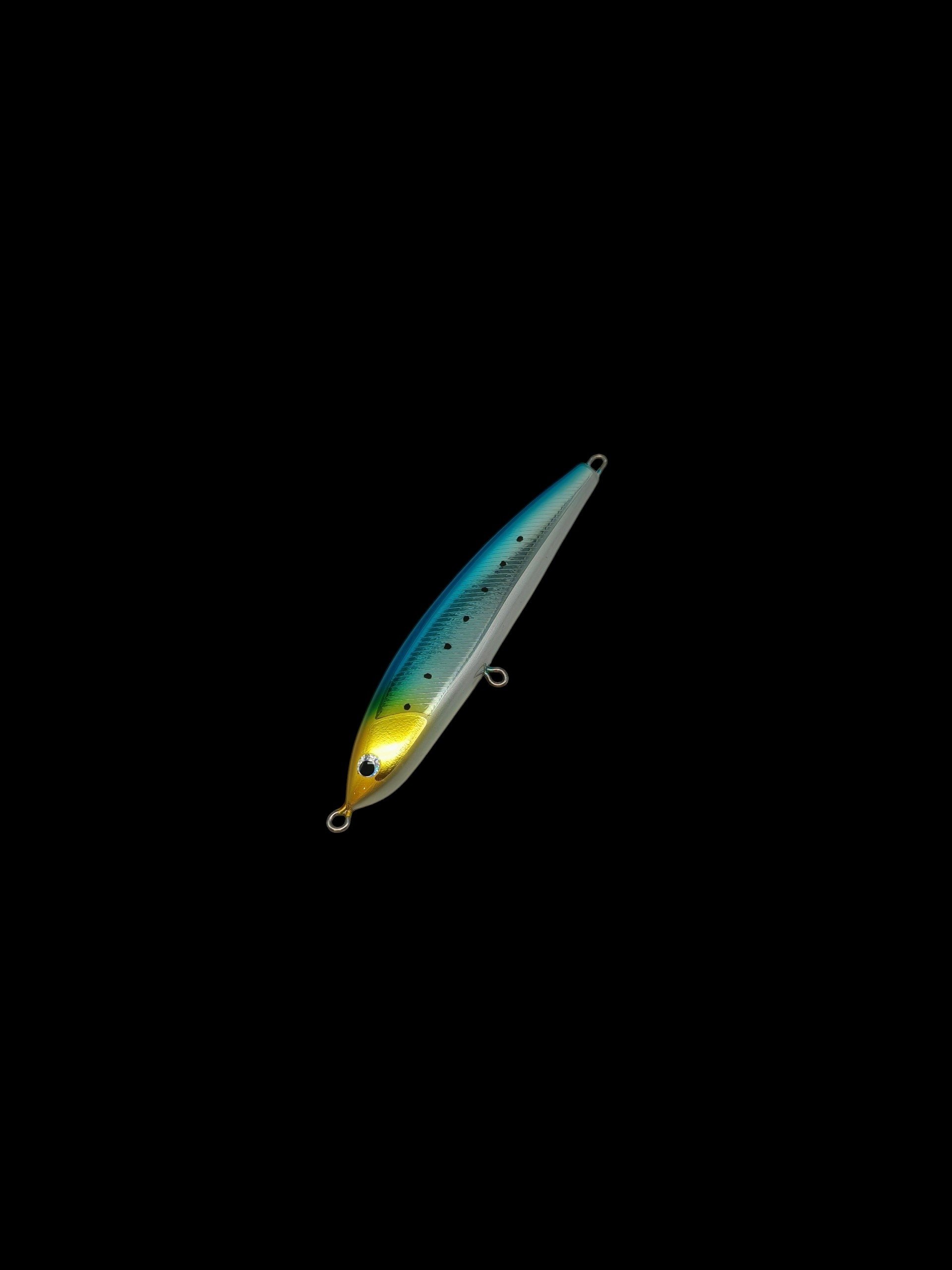 Tango Silver_blue Yellow head.jpg