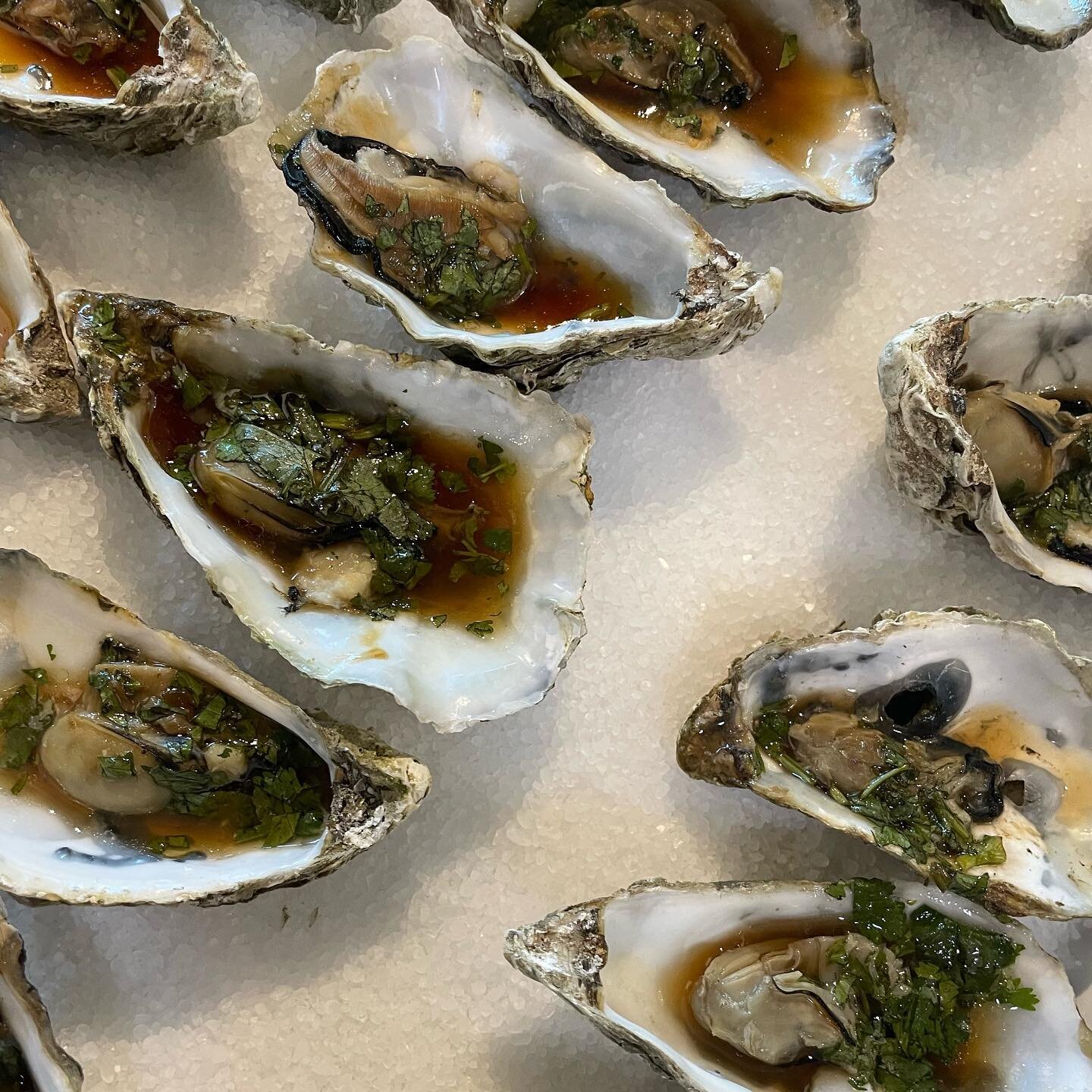 &ldquo;Bauke&rsquo;s oesters&rdquo;! Deze oesters komen uit de oven en zijn zelfs bij de niet-liefhebbers populair! 🦪🤍 Houd jij van oesters? En heb je die van Bauke wel eens geproefd?? 🫶🏼