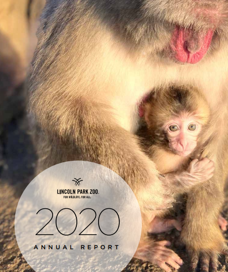 Annual Report 2020.PNG