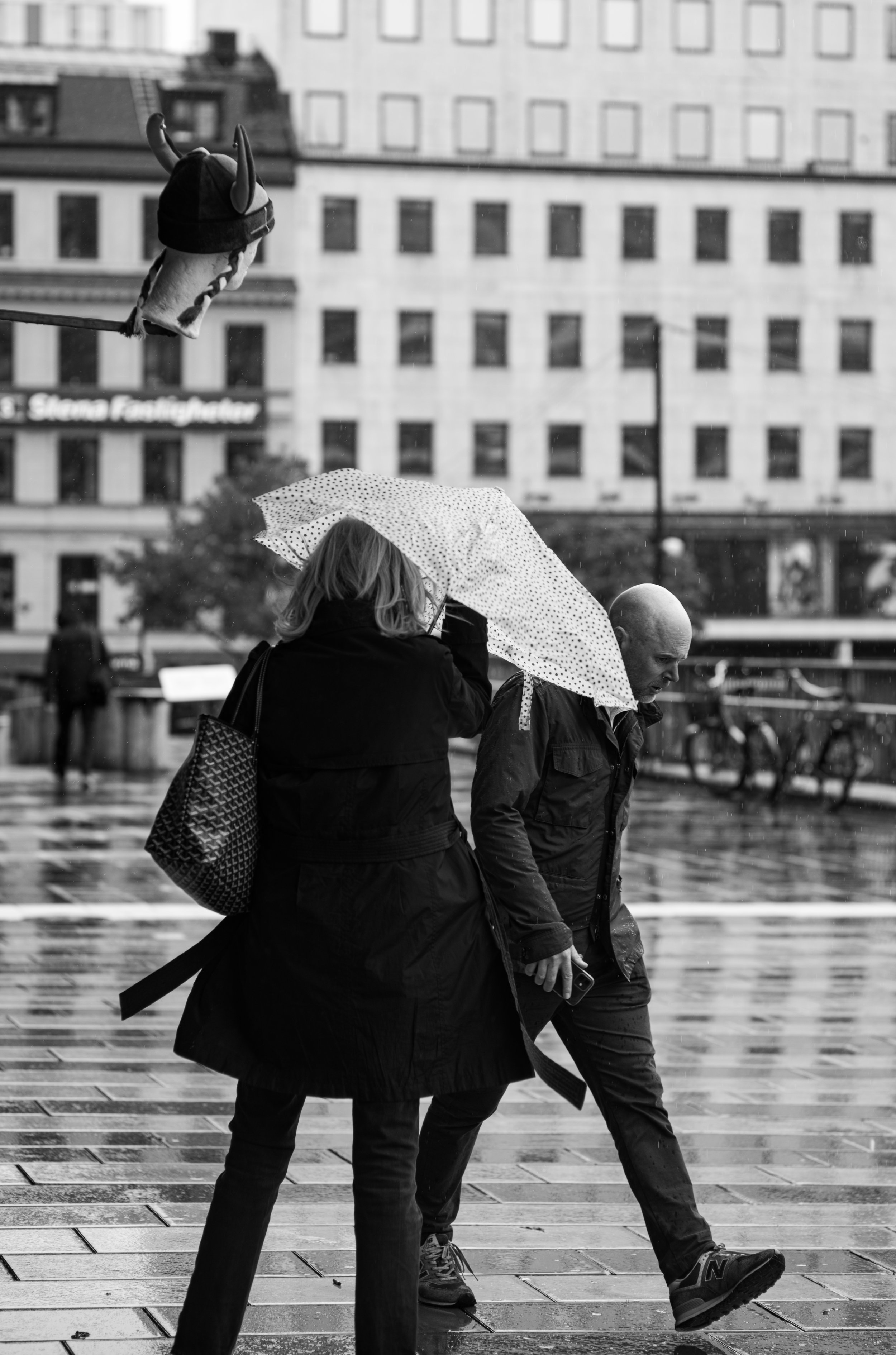 L1005876.jpg