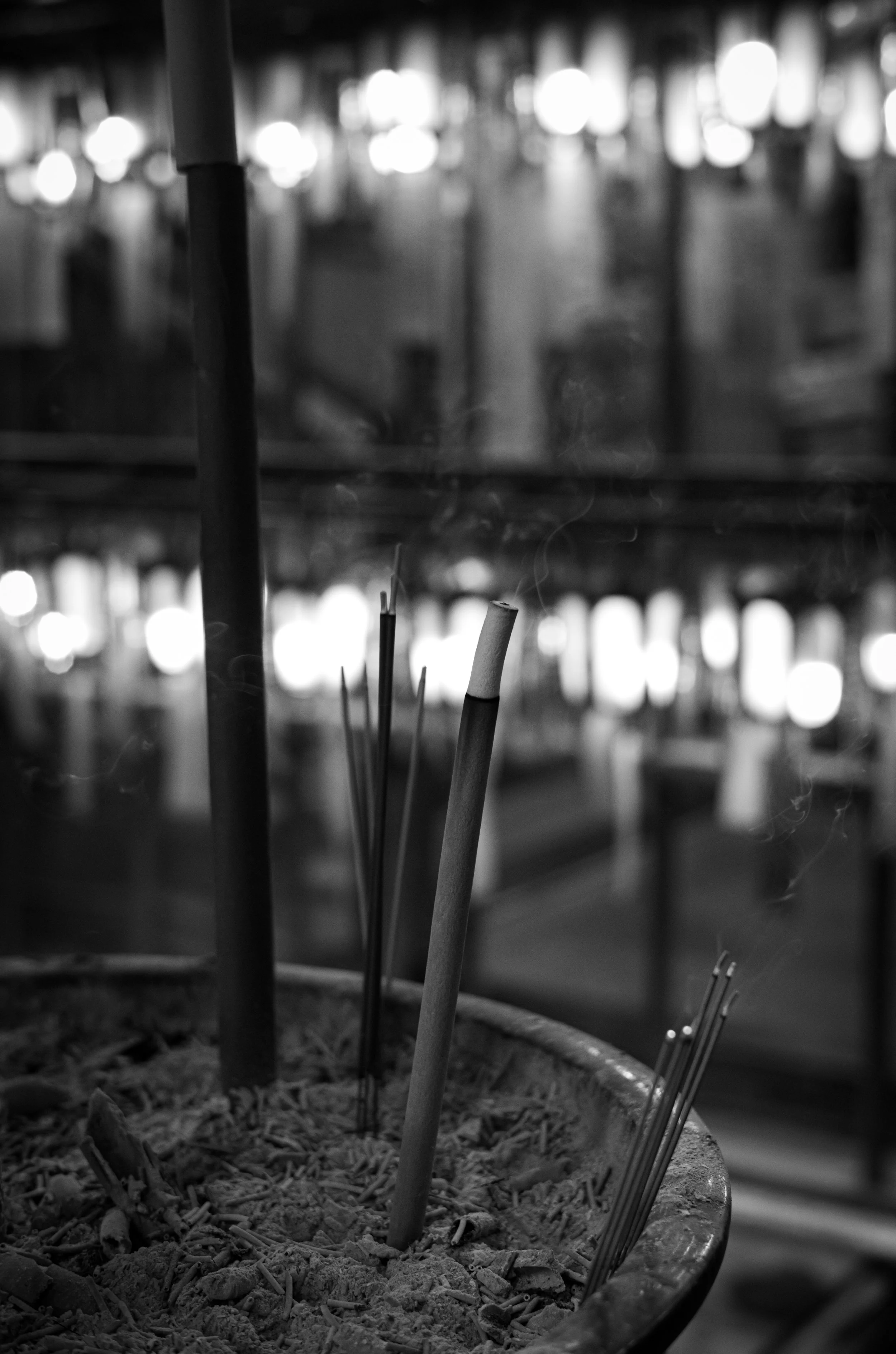 L1003306.jpg