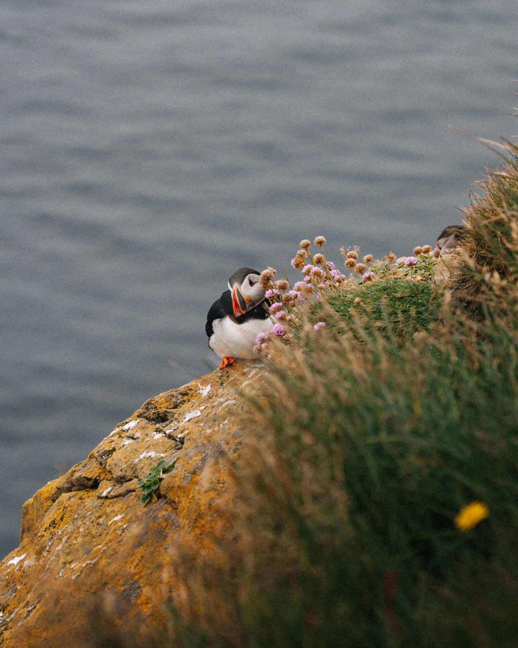 Alessandro_Citterio_Photography_Iceland_NewEdit_HiRes_112.jpg