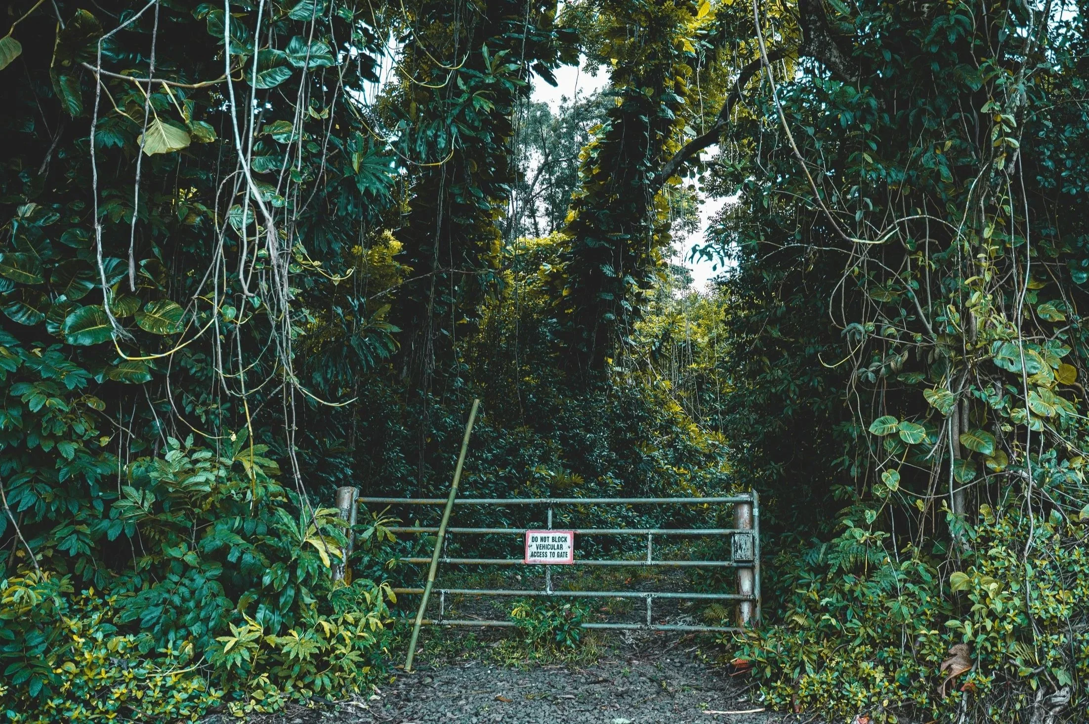 Can This Land Be Saved?