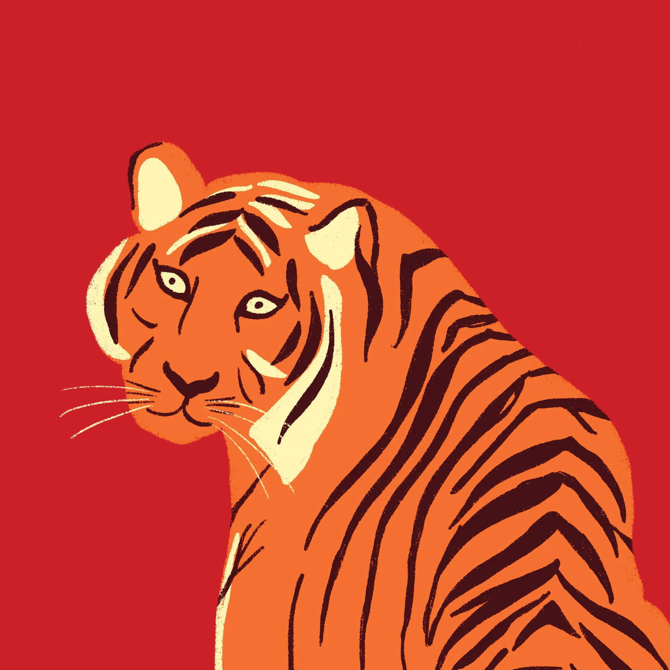 Tiger-closeup.jpg