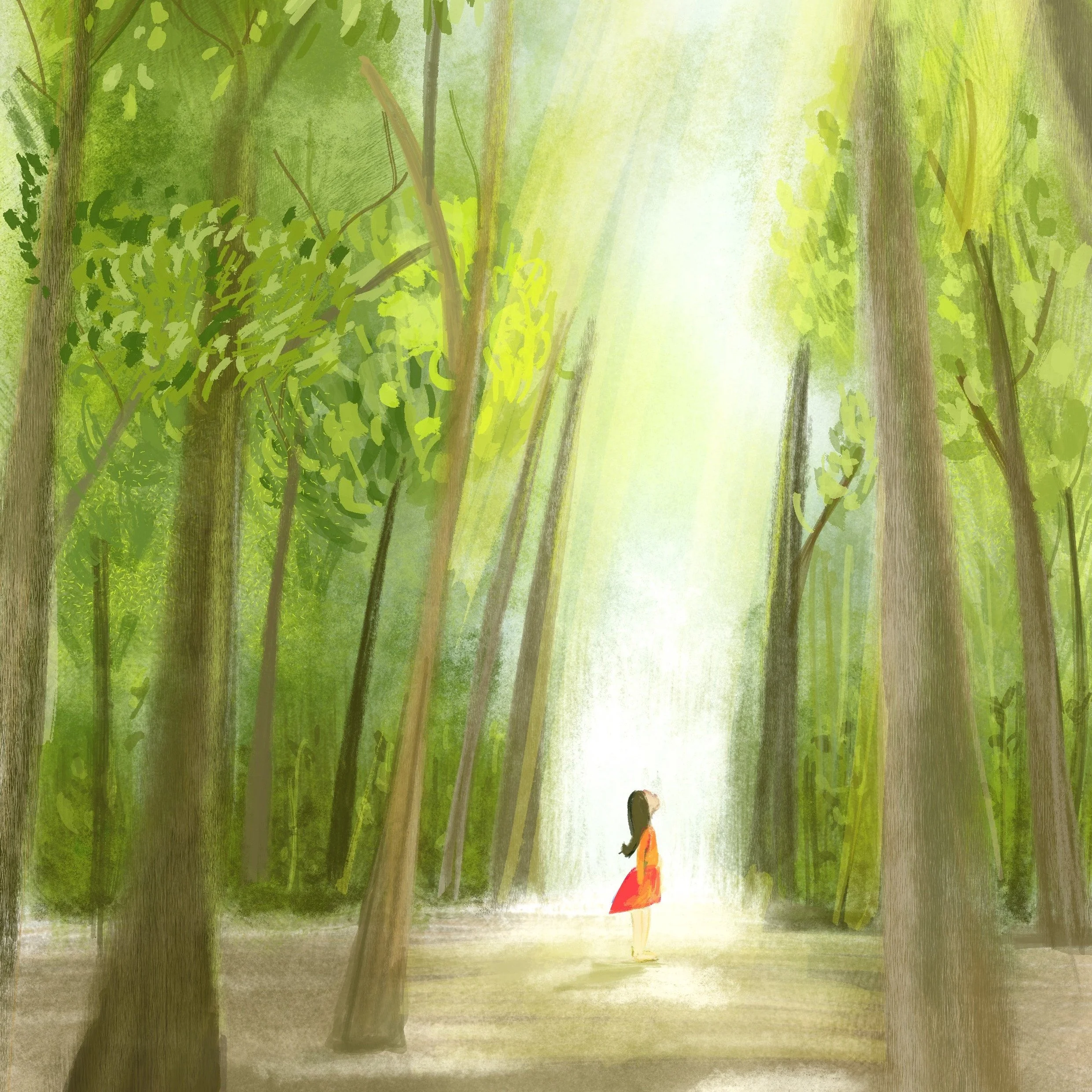 forest2.jpg
