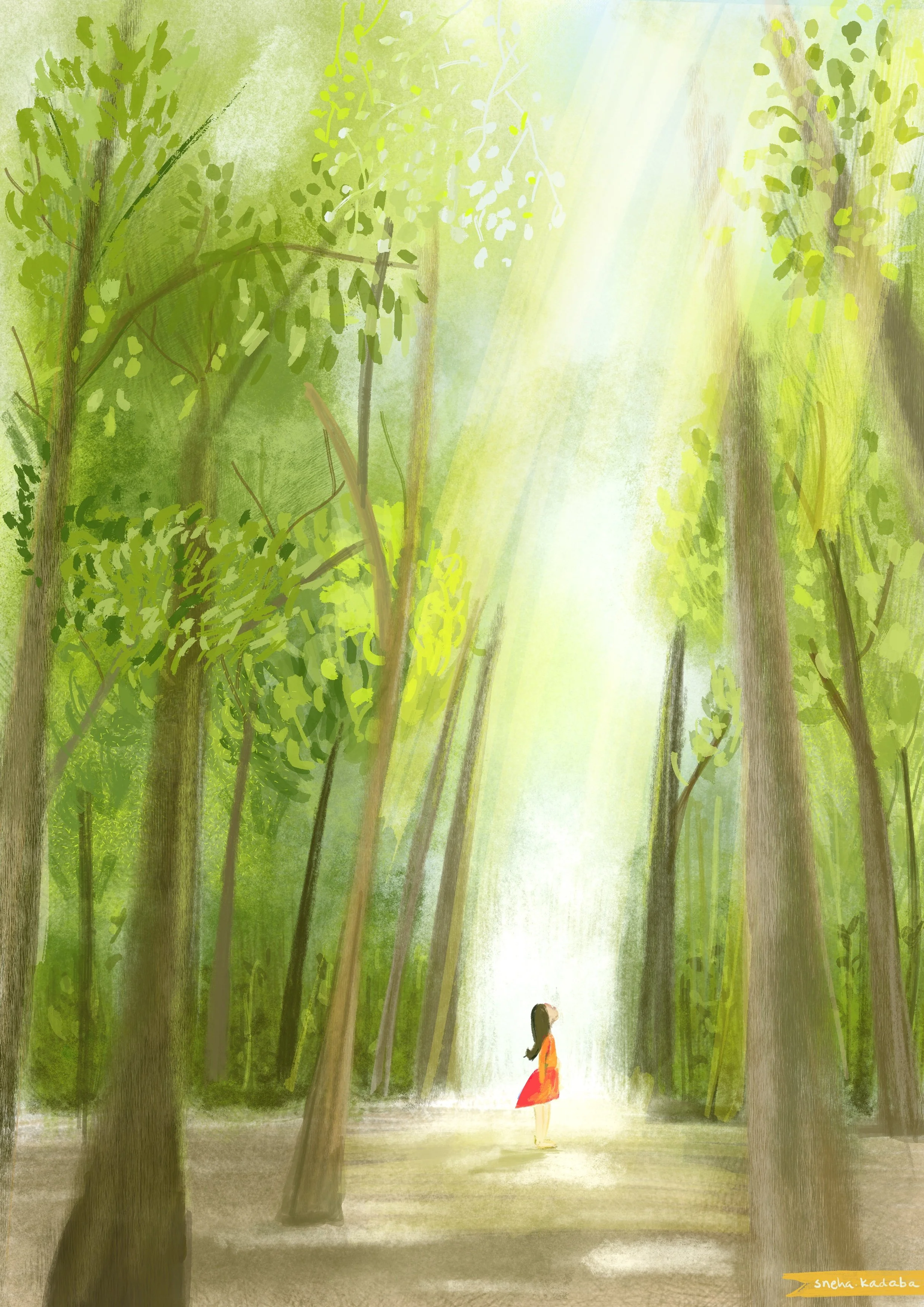 Forest.jpg