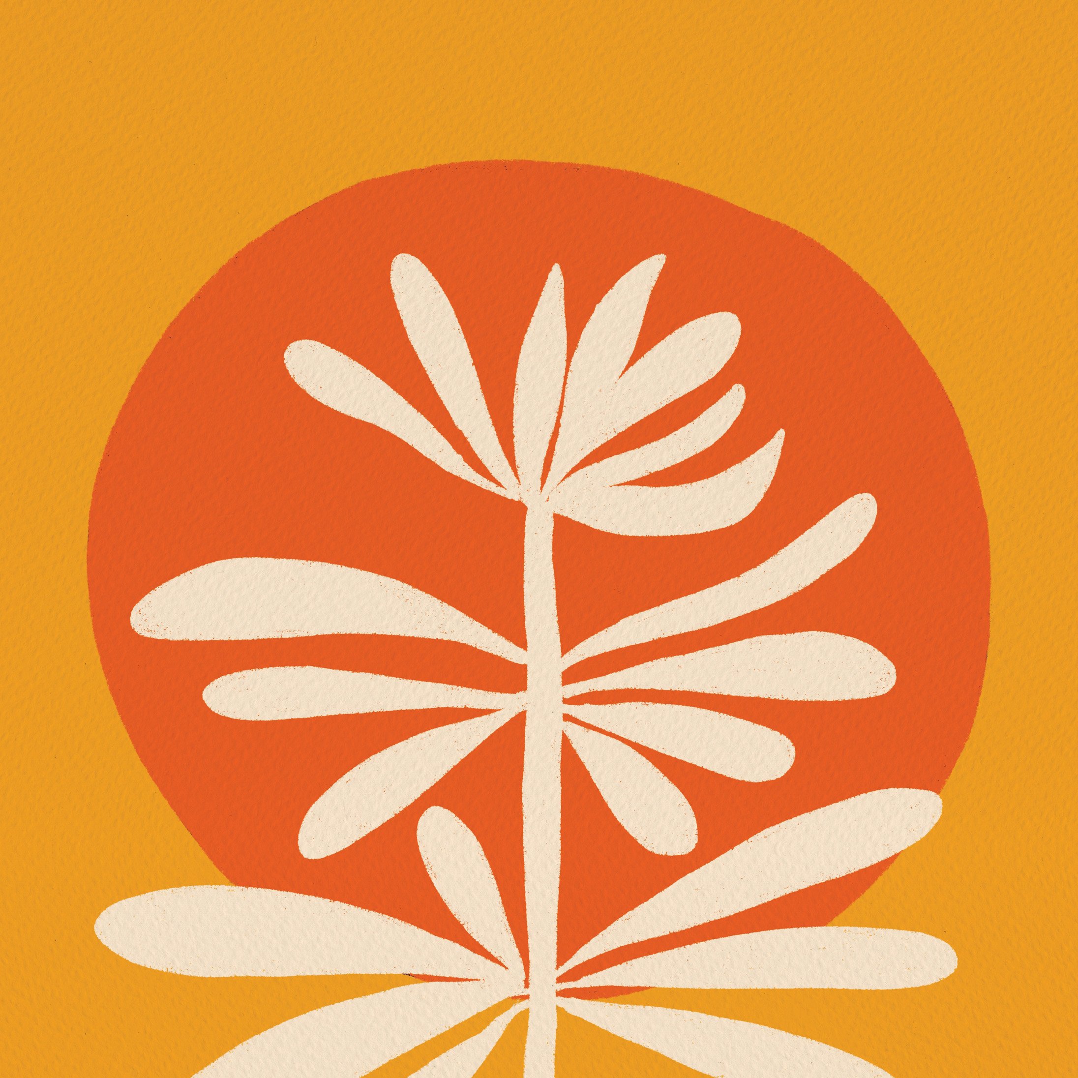 Minimal floral - close-up.jpg