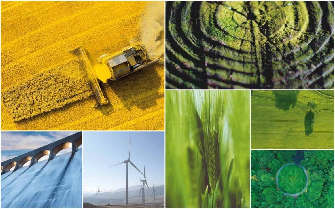 Stock photography moodboard exploration