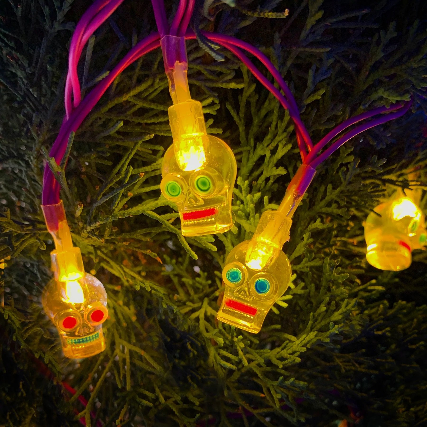 lights-sugarskull-2_1024x1024@2x.jpeg