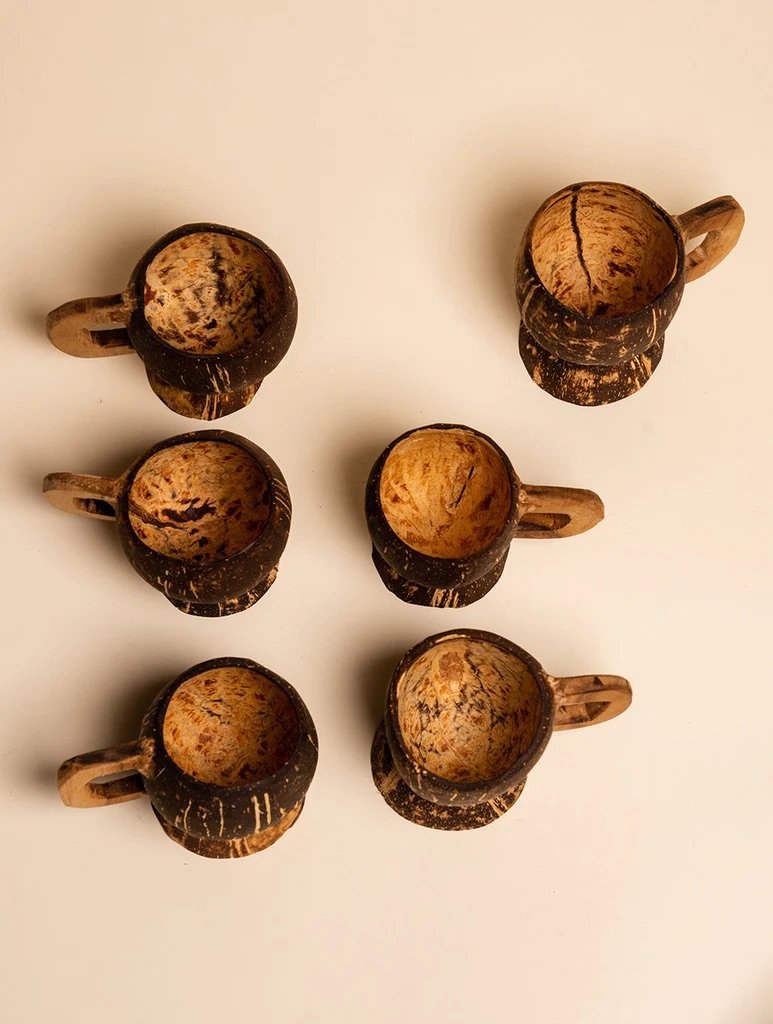 CoconutCraftTeaCups_Setof6_-CLS06TA_1024x1024.jpeg