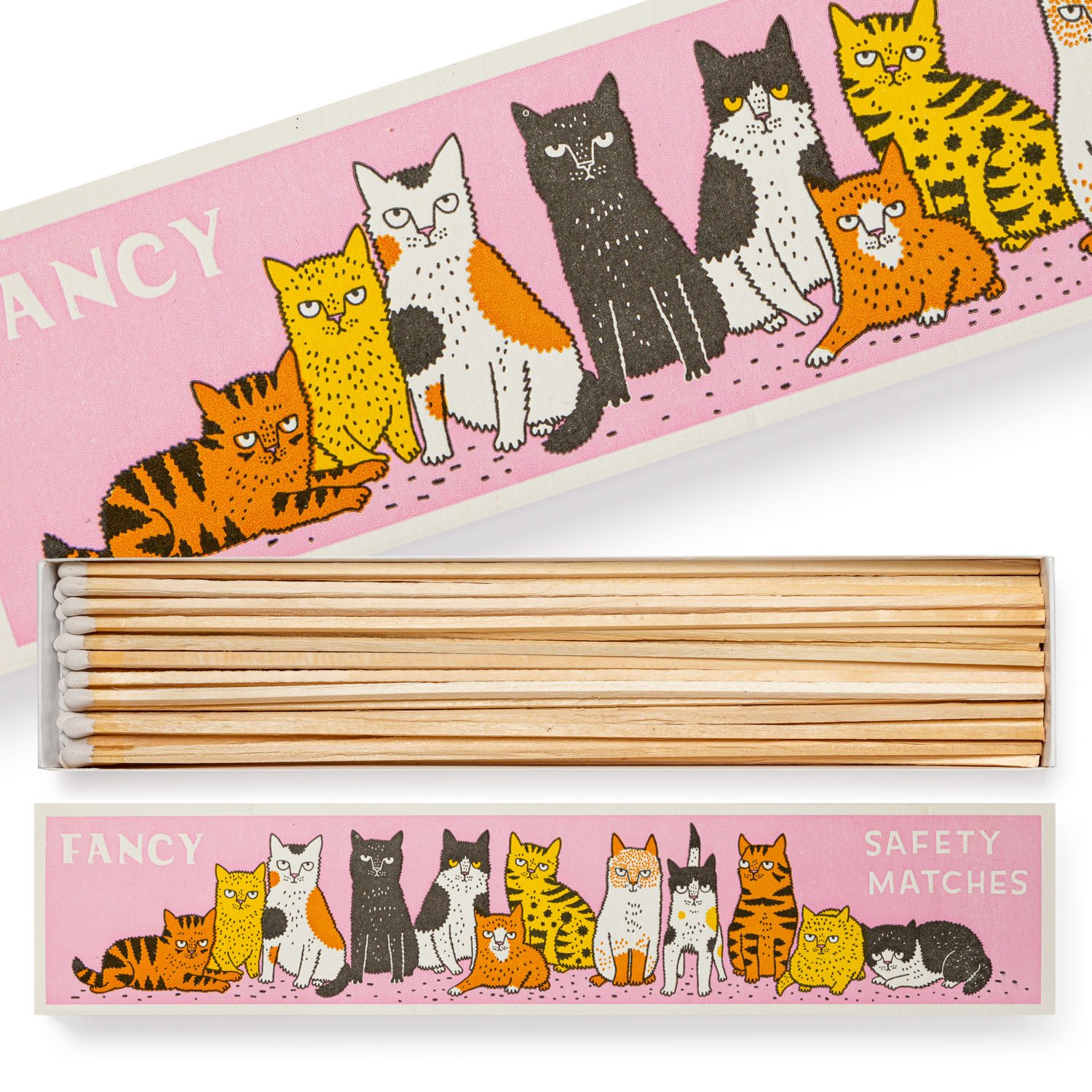 fancy cat safety matches.jpeg
