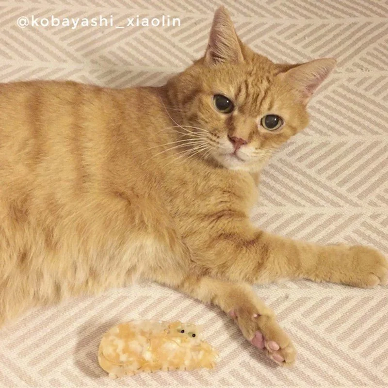 Coucou Suzette Ginger Cat Hair Claw in glossy cellulose acetate, a playful French cat hair accessory for cat lovers.