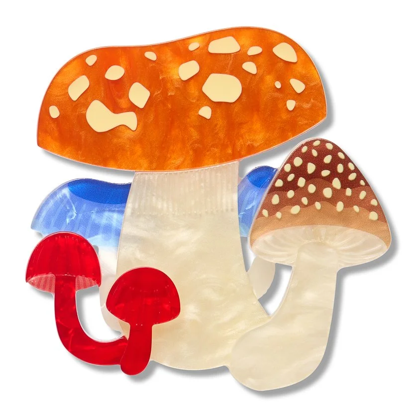 BHEM120 Native Mushroom Medley Brooch-1.JPG