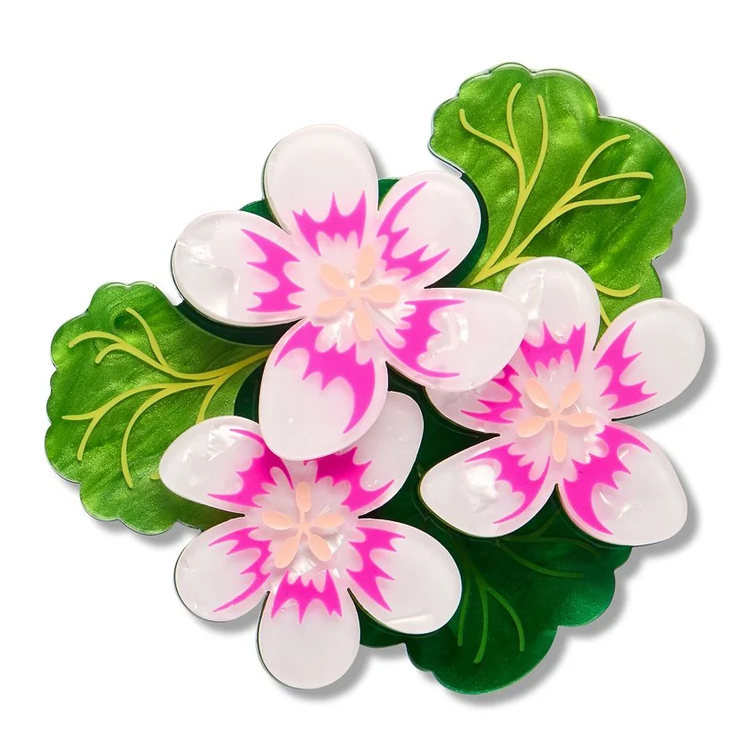 BHEM102 Austral Stork_s-Bill Brooch-1.JPG
