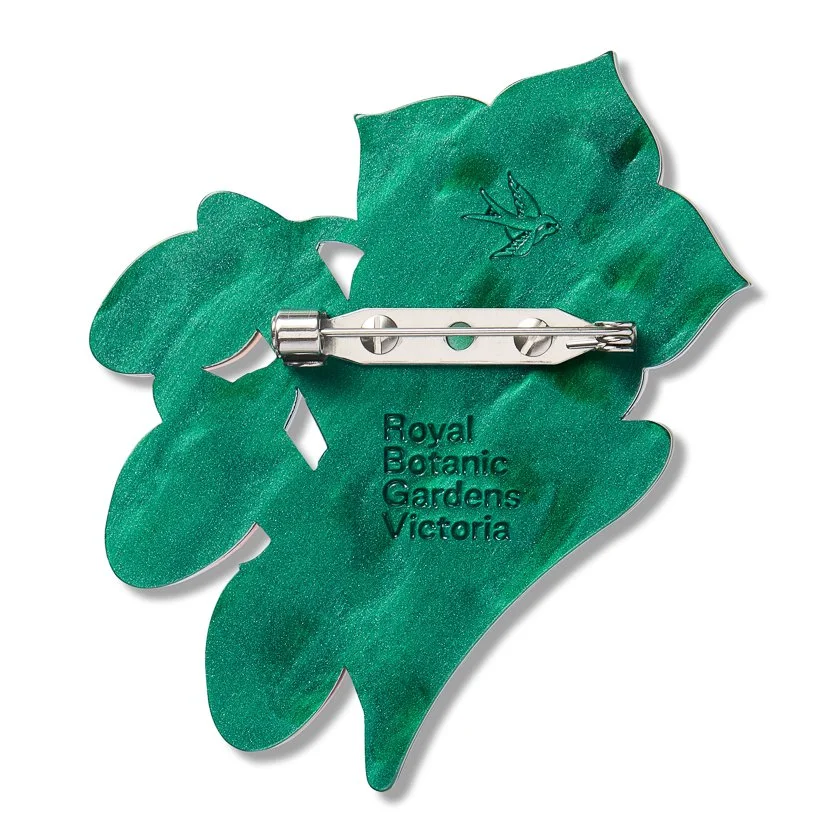 BHEM104 Kangaroo Apple Brooch-2.JPG